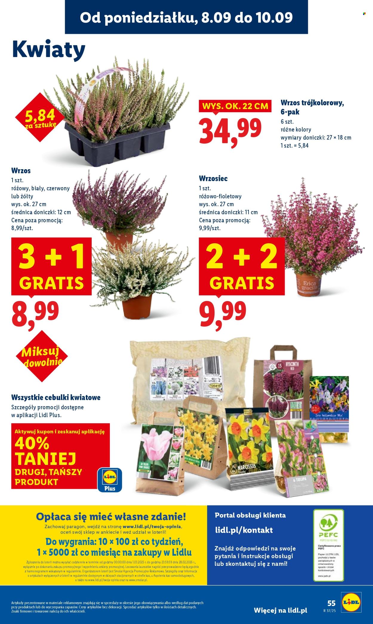Gazetka Lidl - 8.09.2025 - 10.09.2025. Strona 61