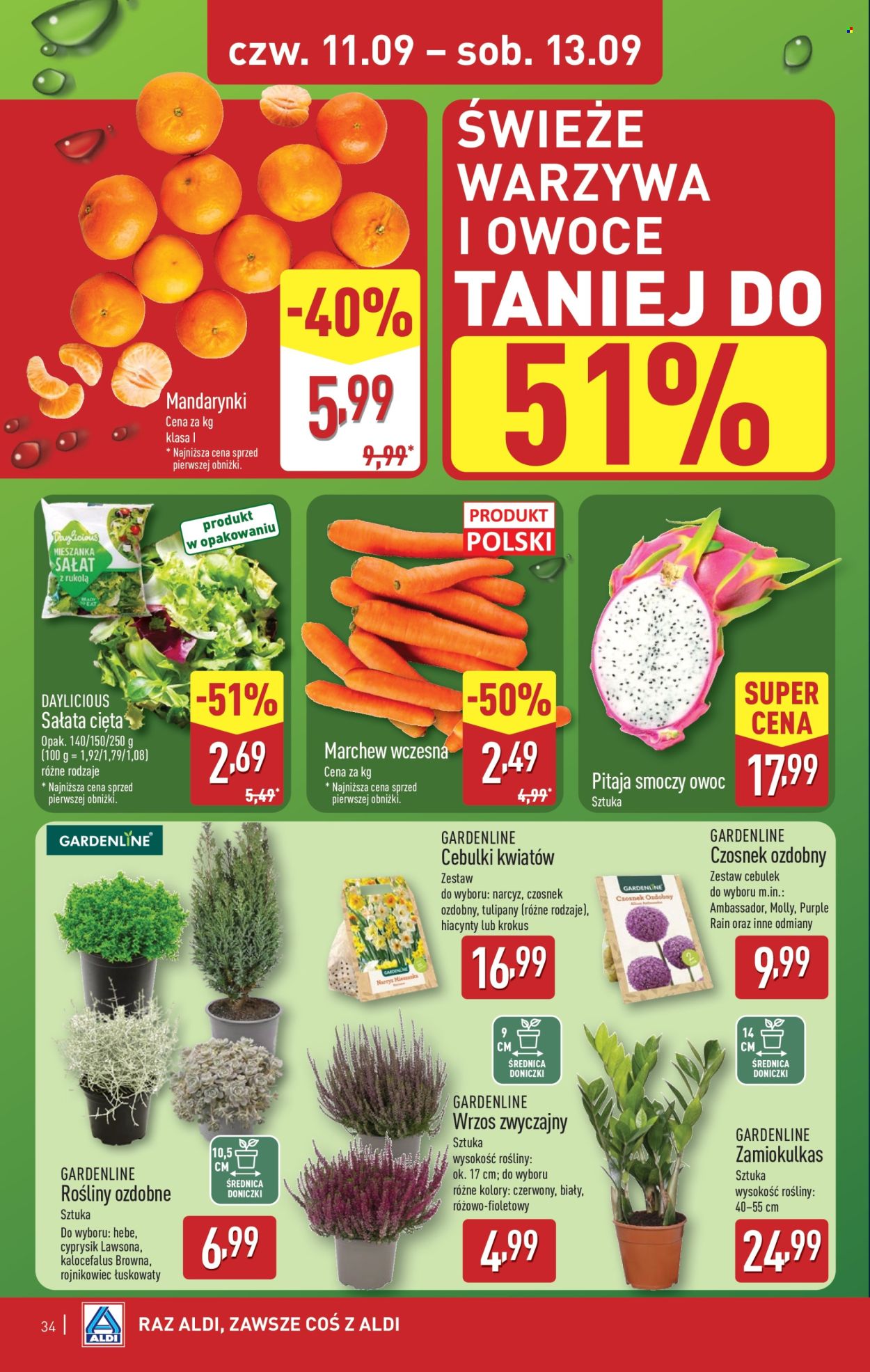 Gazetka ALDI - 8.09.2025 - 13.09.2025. Strona 34