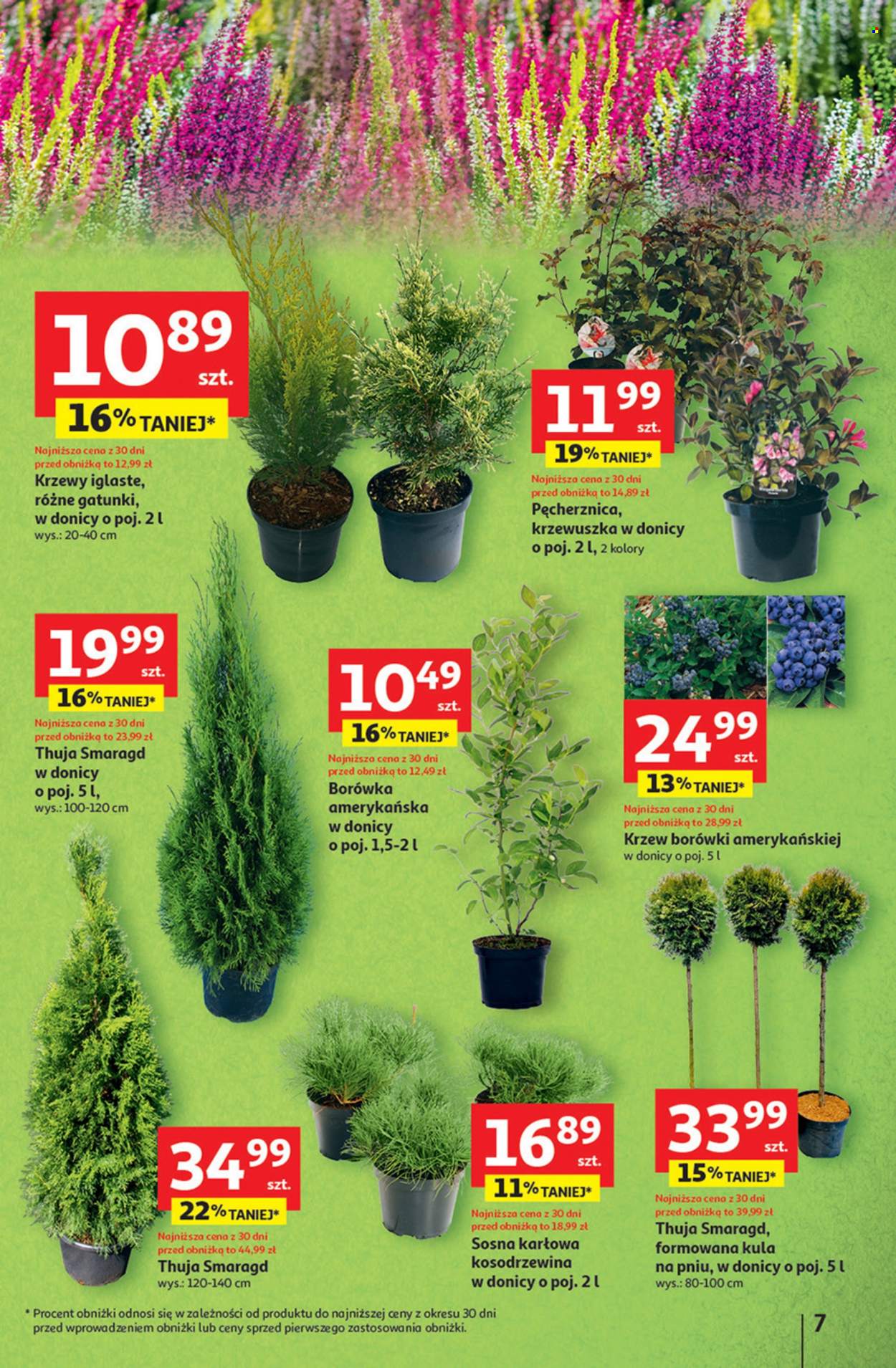 Gazetka Auchan - 11.09.2025 - 17.09.2025. Strona 7