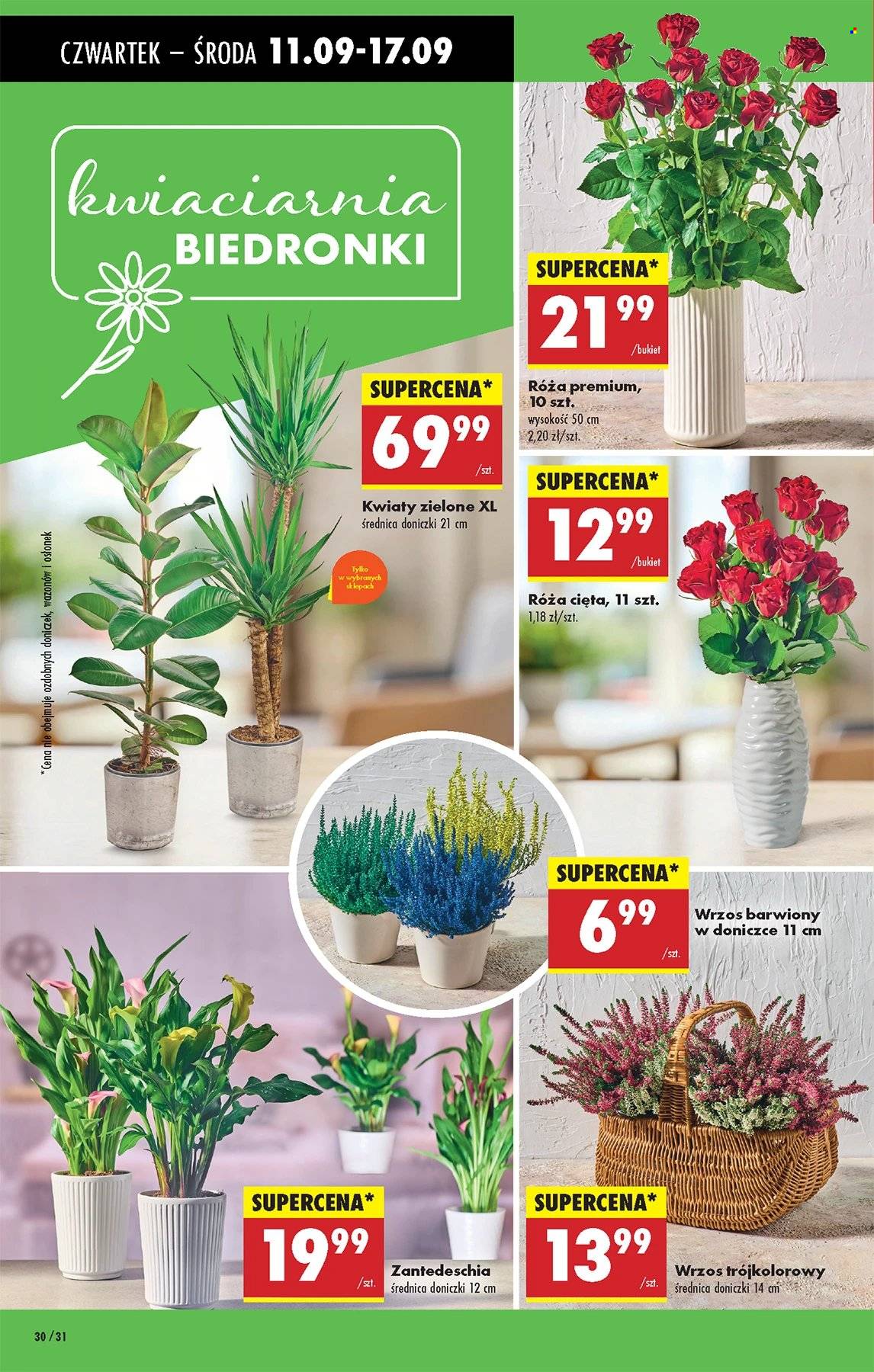 Gazetka Biedronka - 11.09.2025 - 17.09.2025. Strona 30