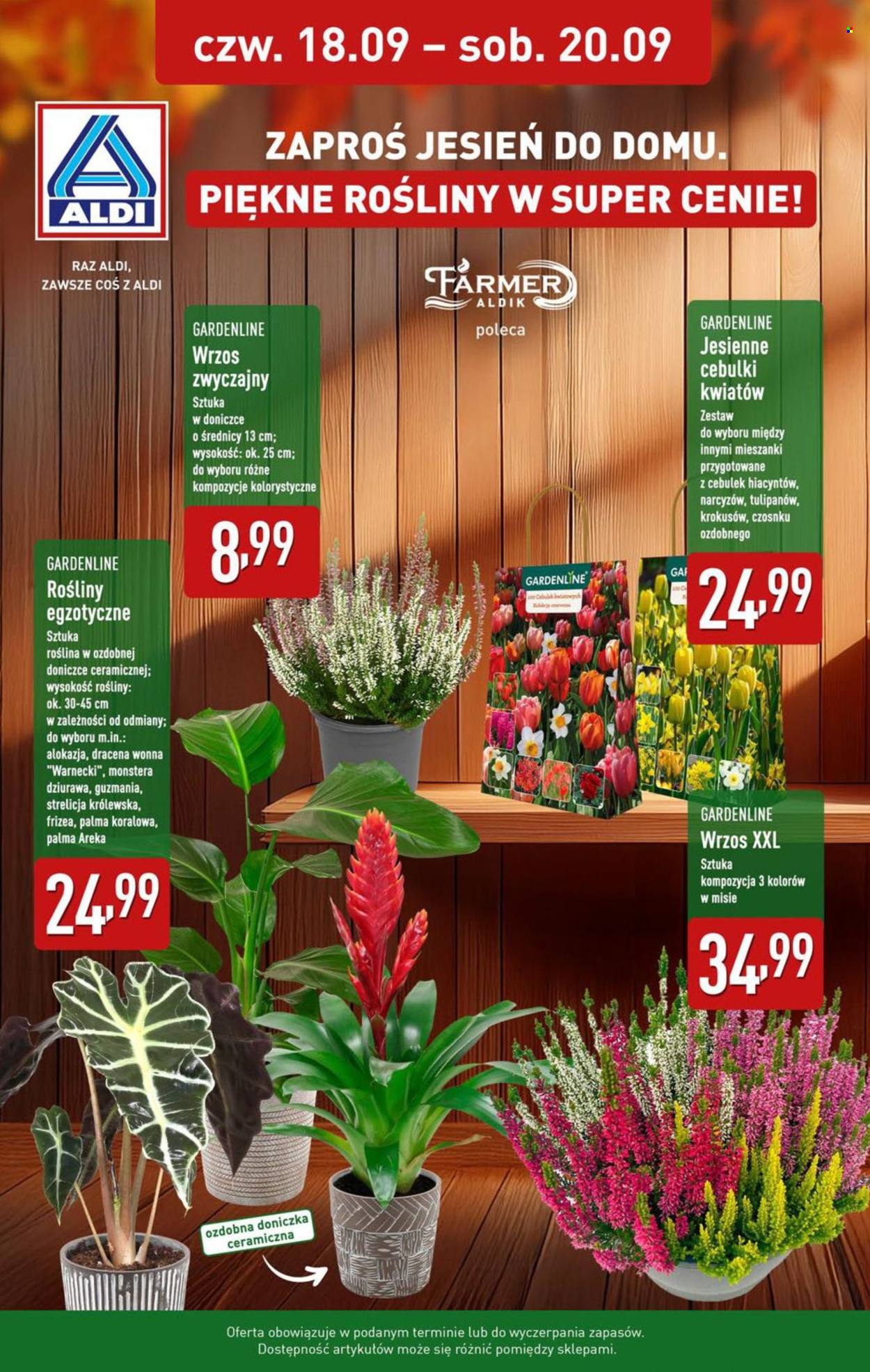 Gazetka ALDI - 15.09.2025 - 20.09.2025. Strona 34