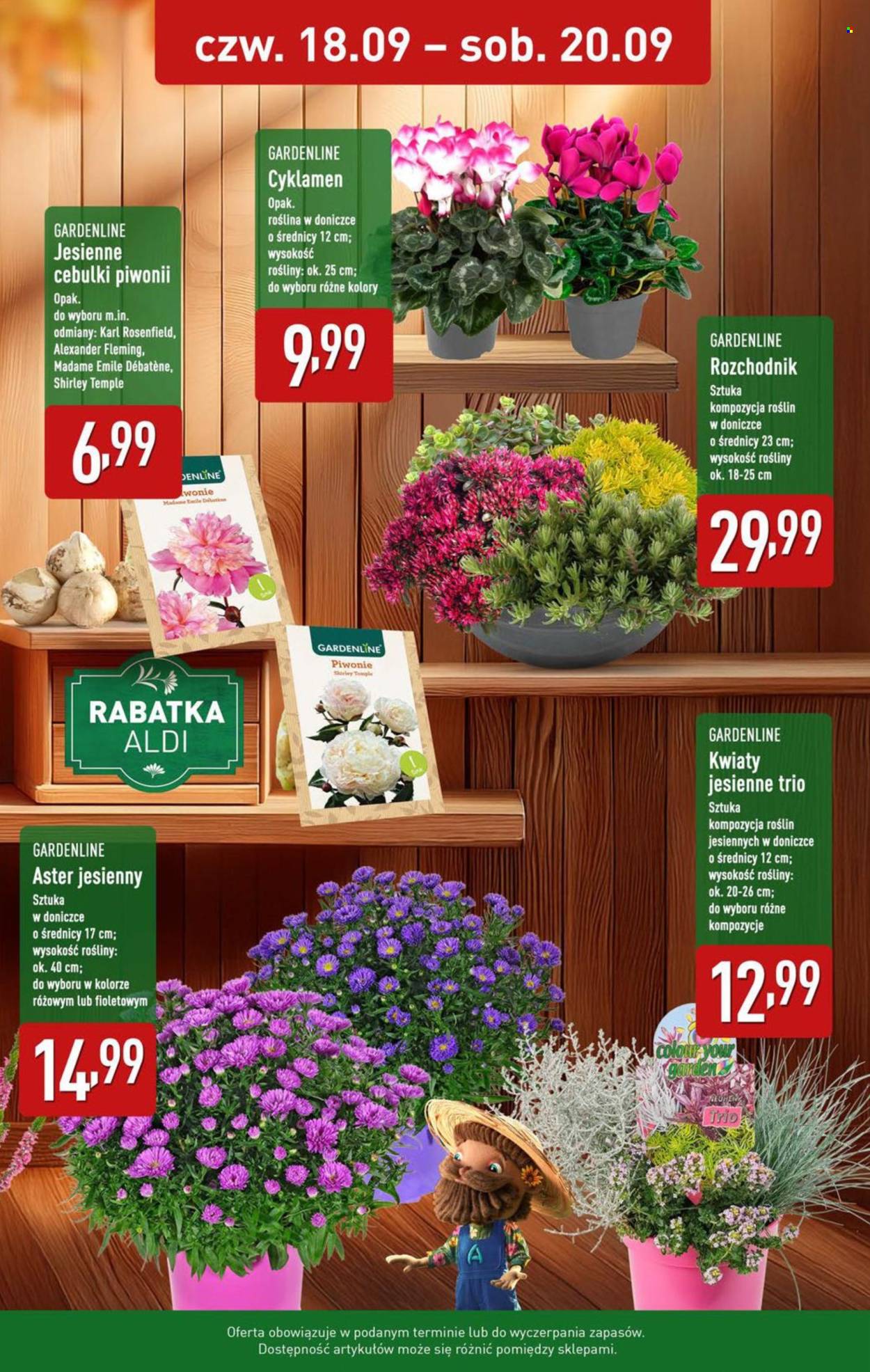 Gazetka ALDI - 15.09.2025 - 20.09.2025. Strona 35