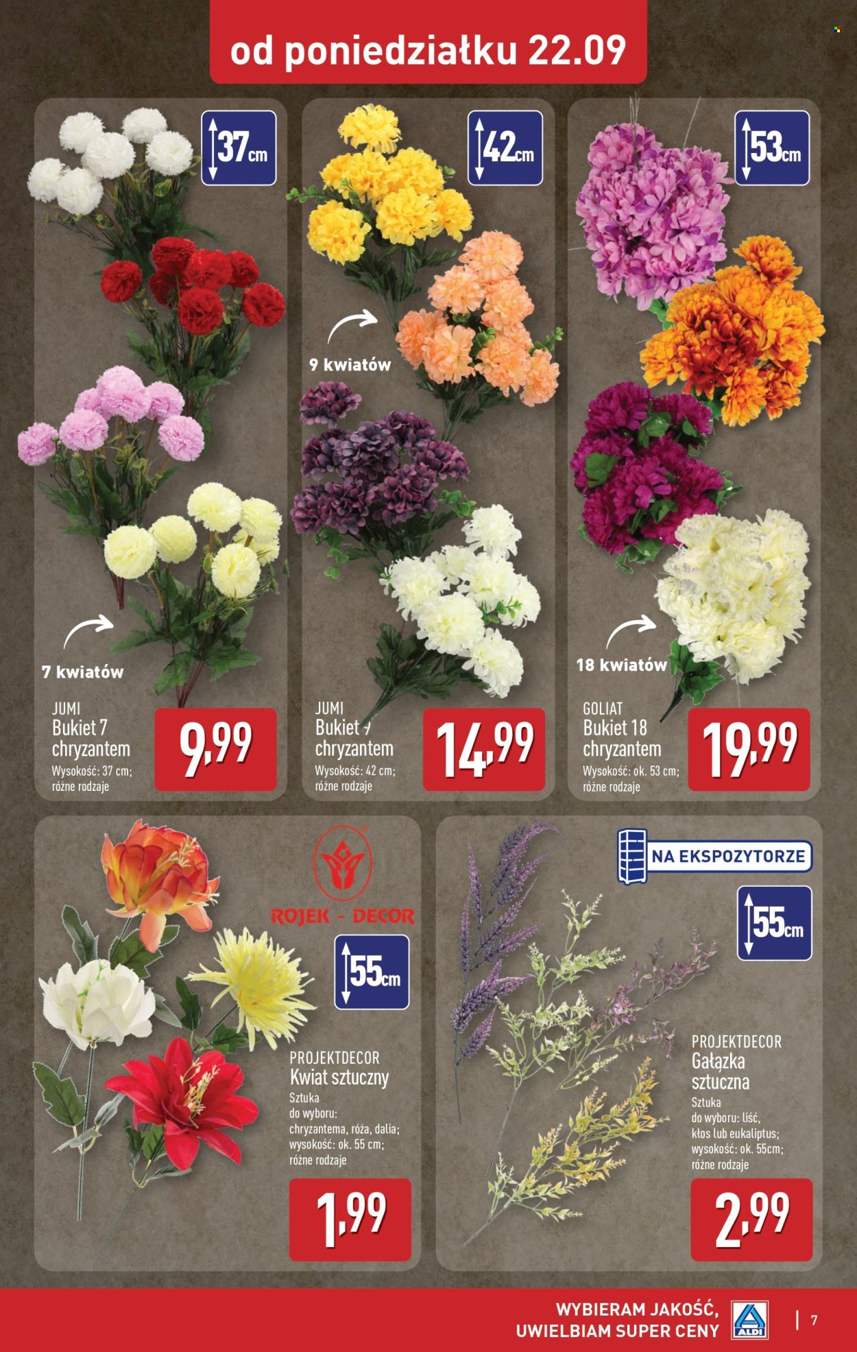Gazetka ALDI - 22.09.2025 - 27.09.2025. Strona 7