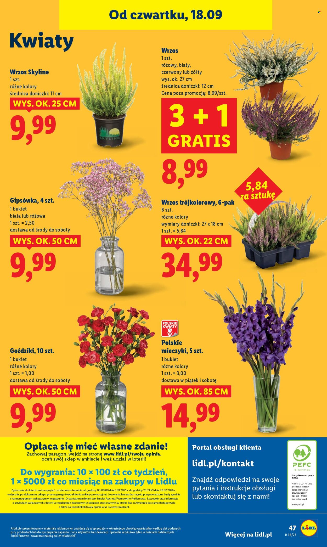 Gazetka Lidl - 18.09.2025 - 20.09.2025. Strona 55
