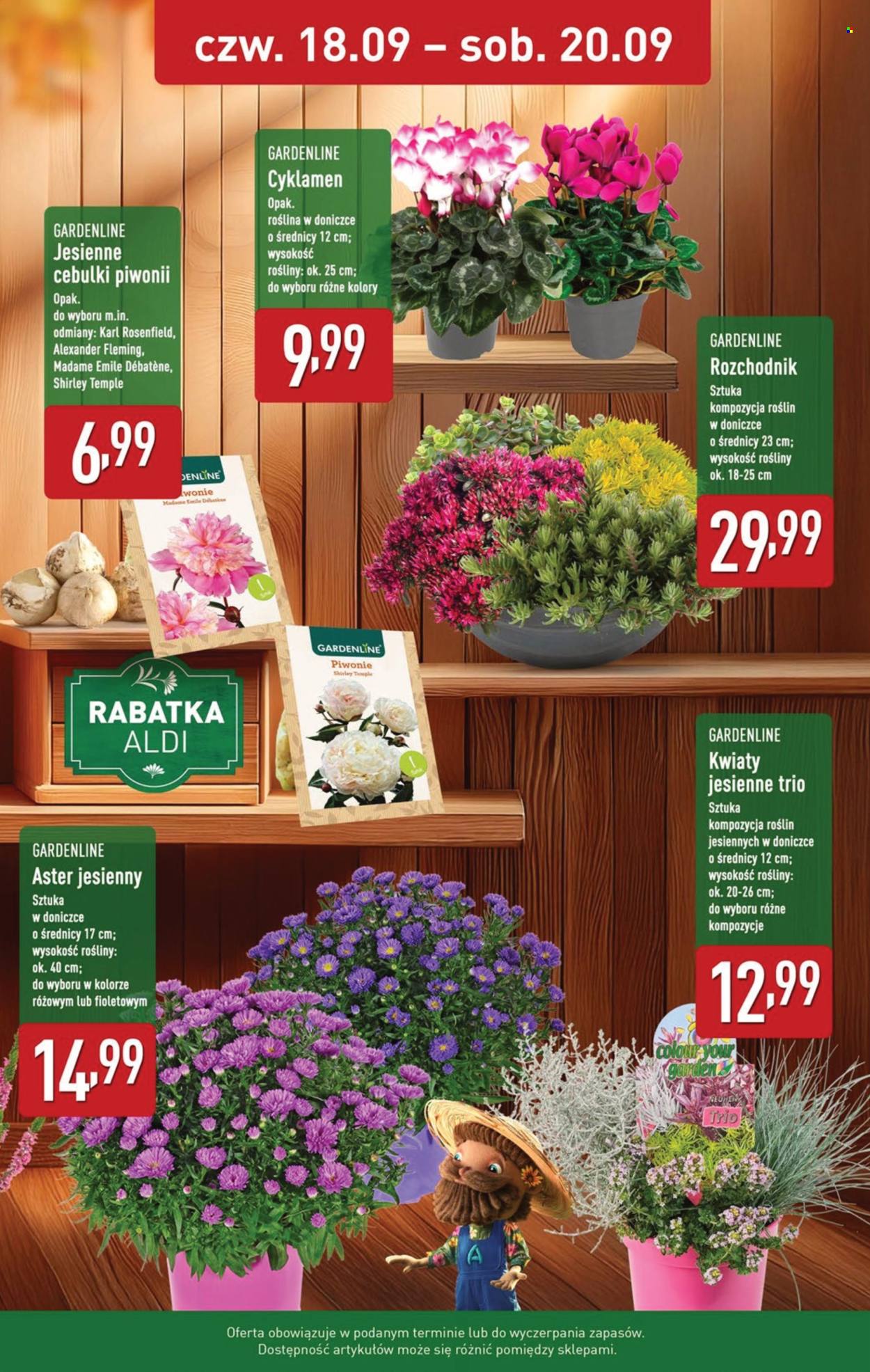 Gazetka ALDI - 18.09.2025 - 20.09.2025. Strona 12