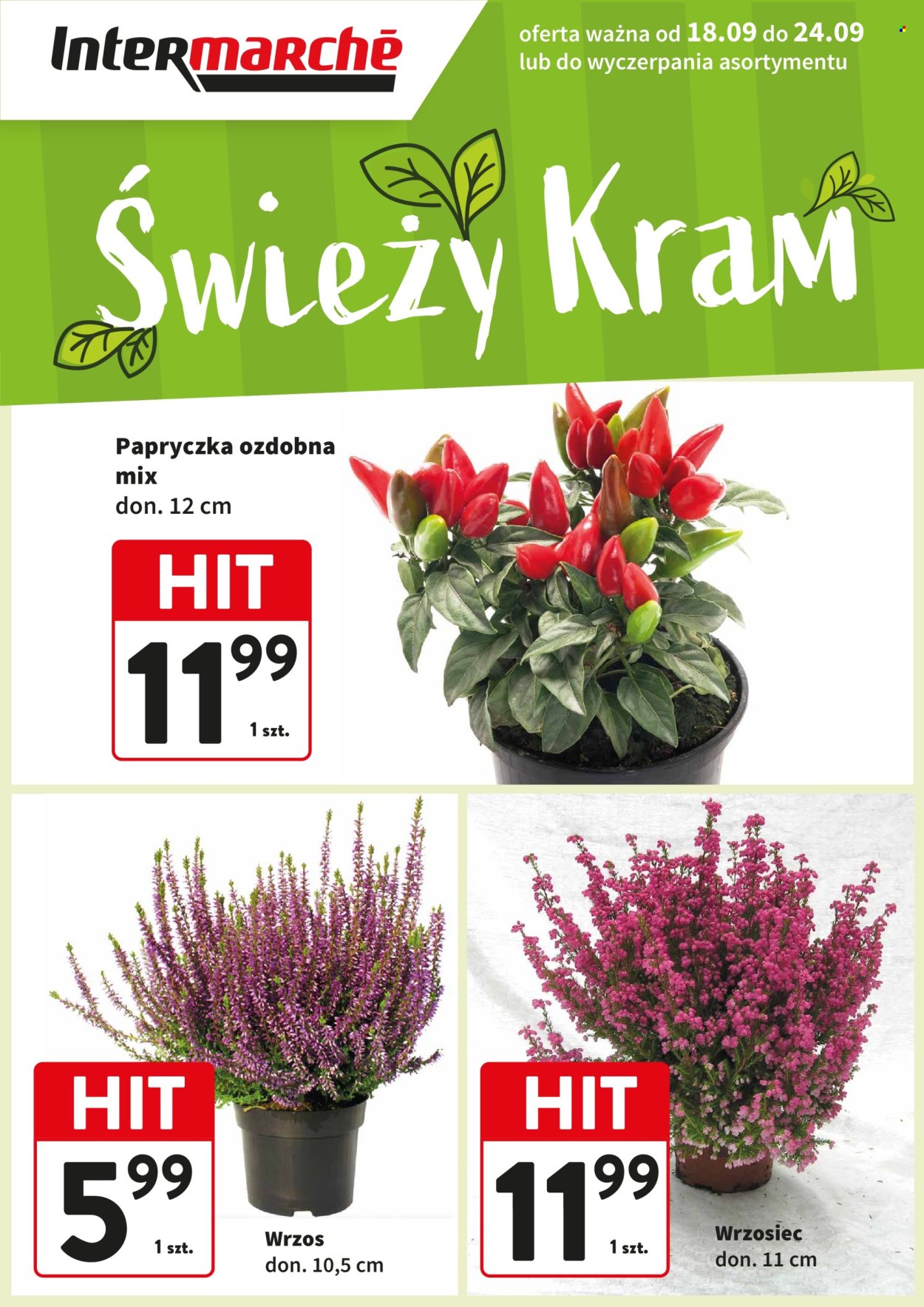 Gazetka Intermarché - 18.09.2025 - 24.09.2025. Strona 1
