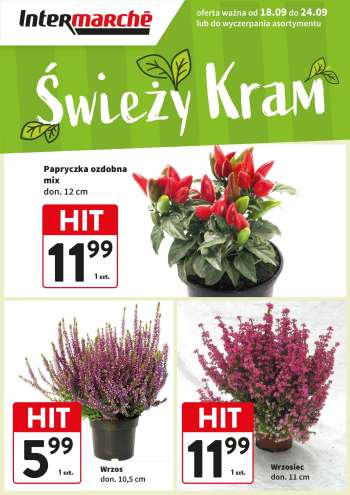 Gazetka Intermarché - 18.09.2025 - 24.09.2025.