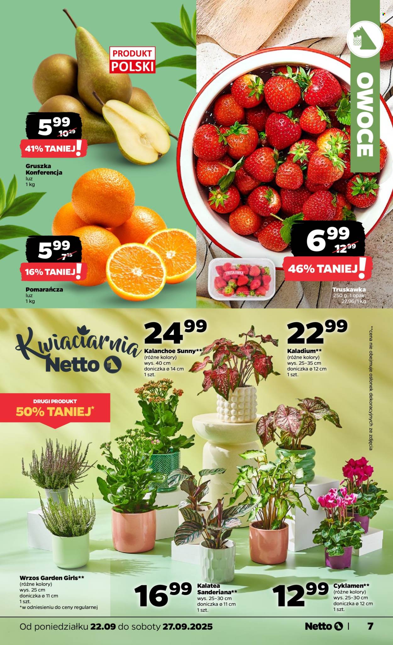 Gazetka Netto - 22.09.2025 - 27.09.2025. Strona 7