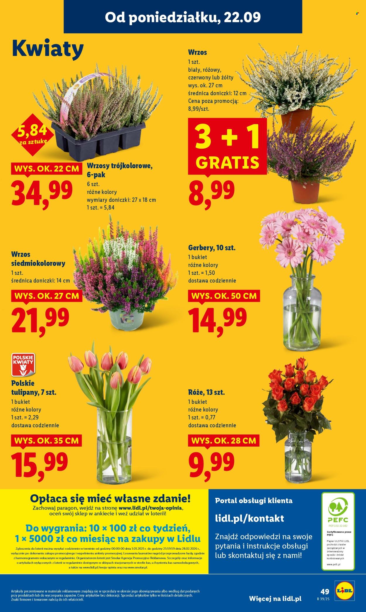 Gazetka Lidl - 22.09.2025 - 24.09.2025. Strona 60
