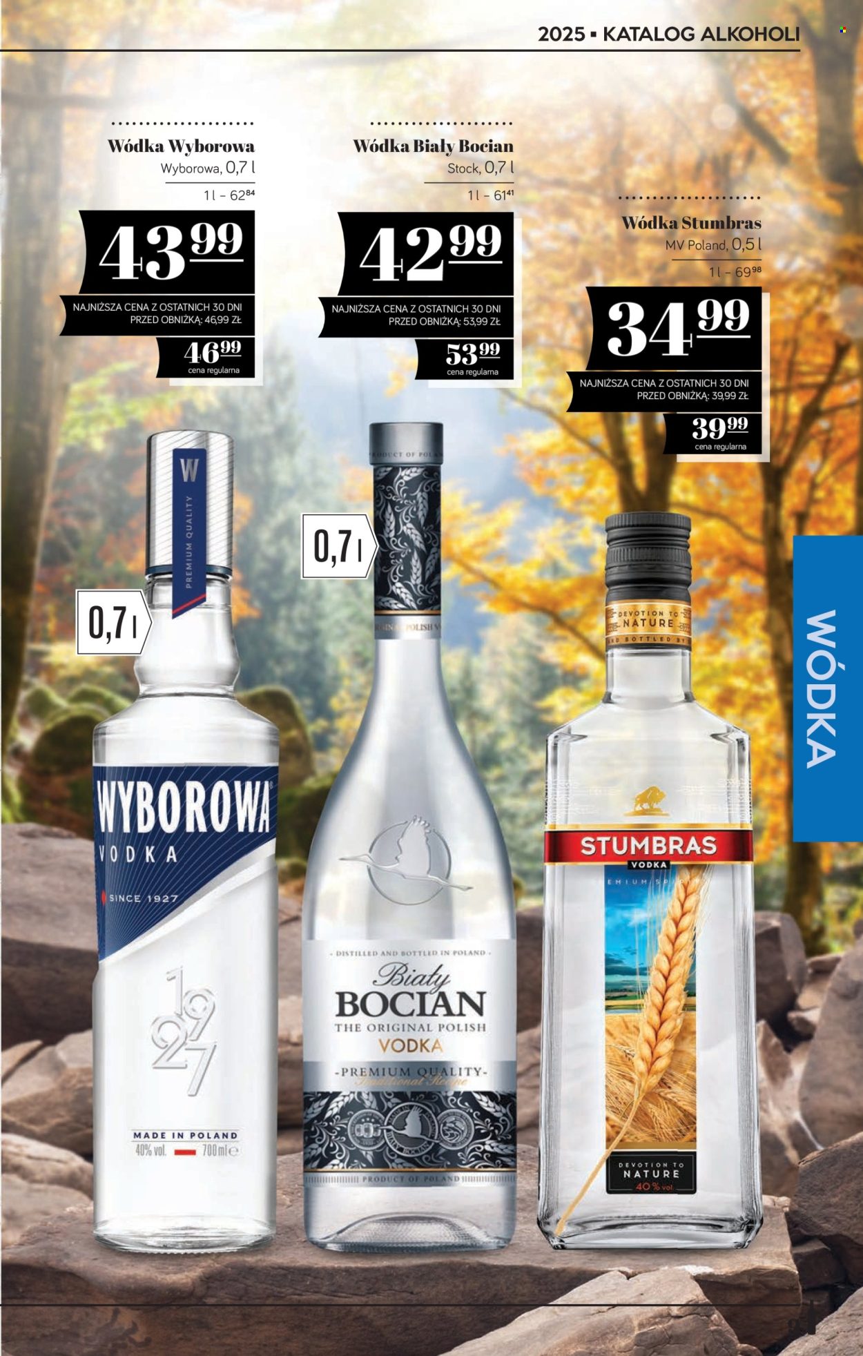Gazetka Polomarket - 26.09.2025 - 13.11.2025. Strona 9
