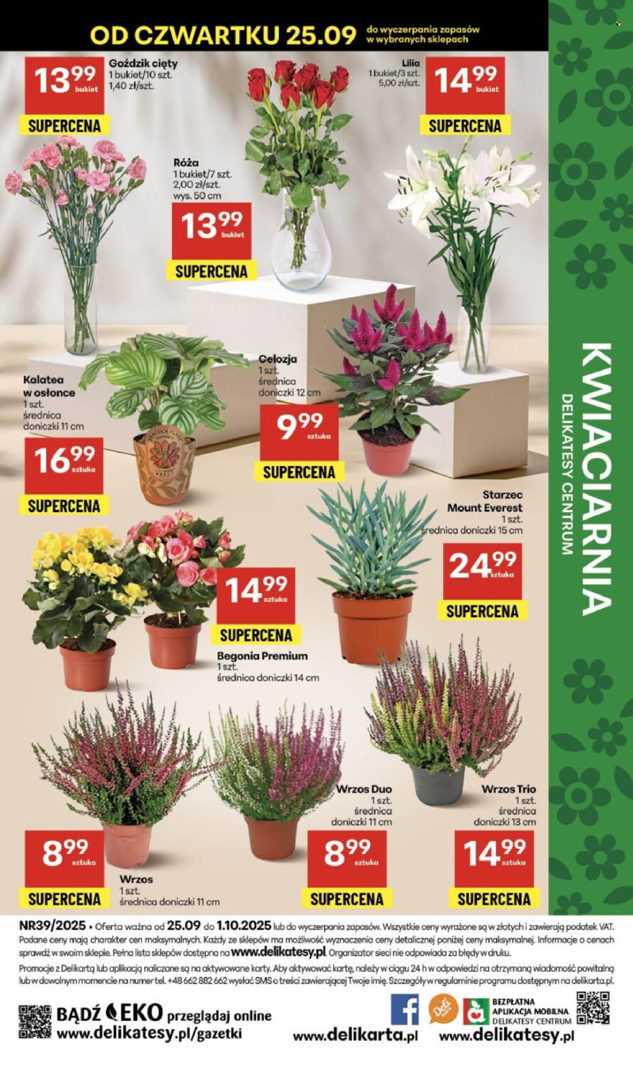 Gazetka Delikatesy Centrum - 25.09.2025 - 1.10.2025. Strona 52