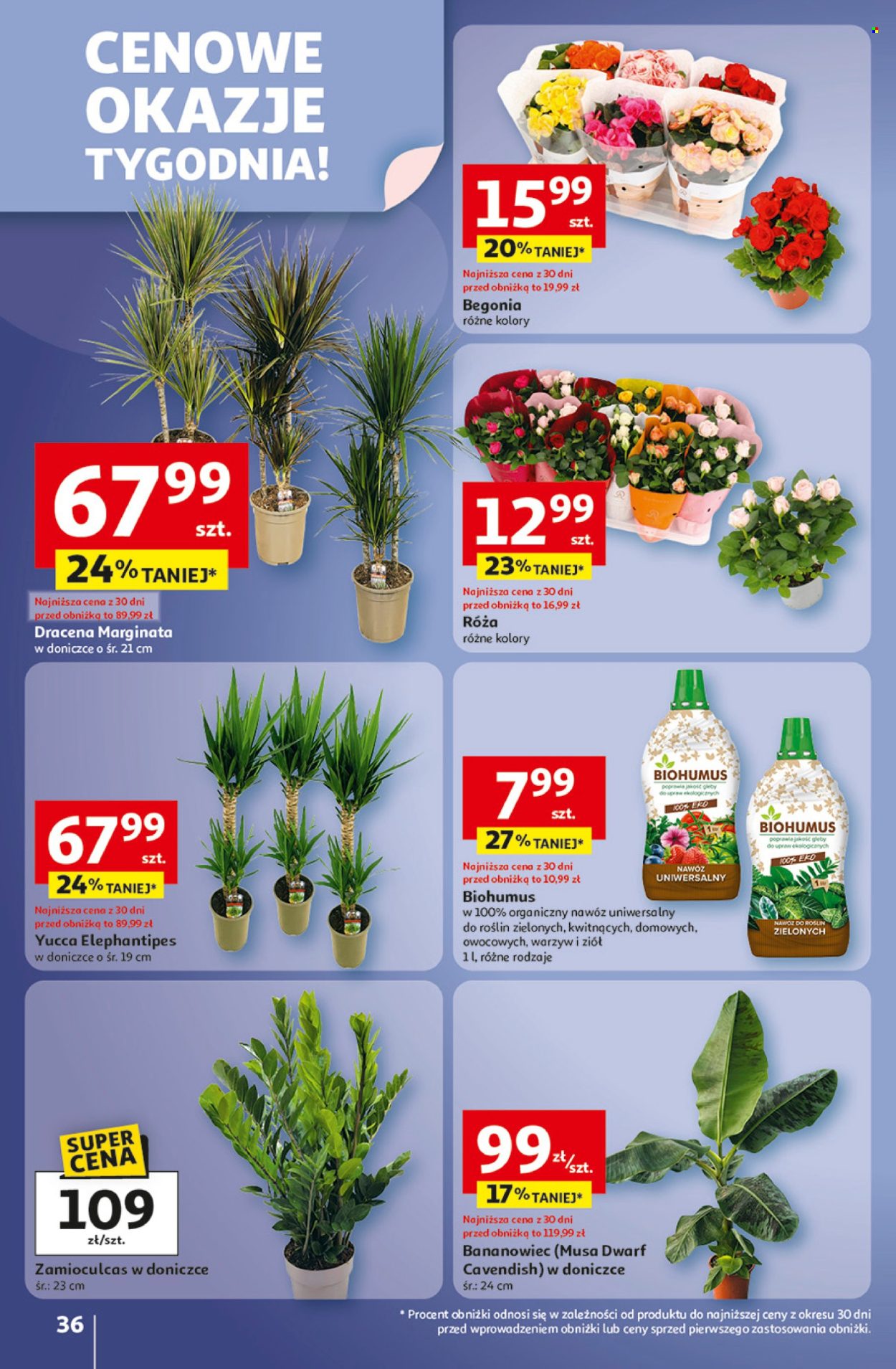 Gazetka Auchan - 2.10.2025 - 8.10.2025. Strona 36