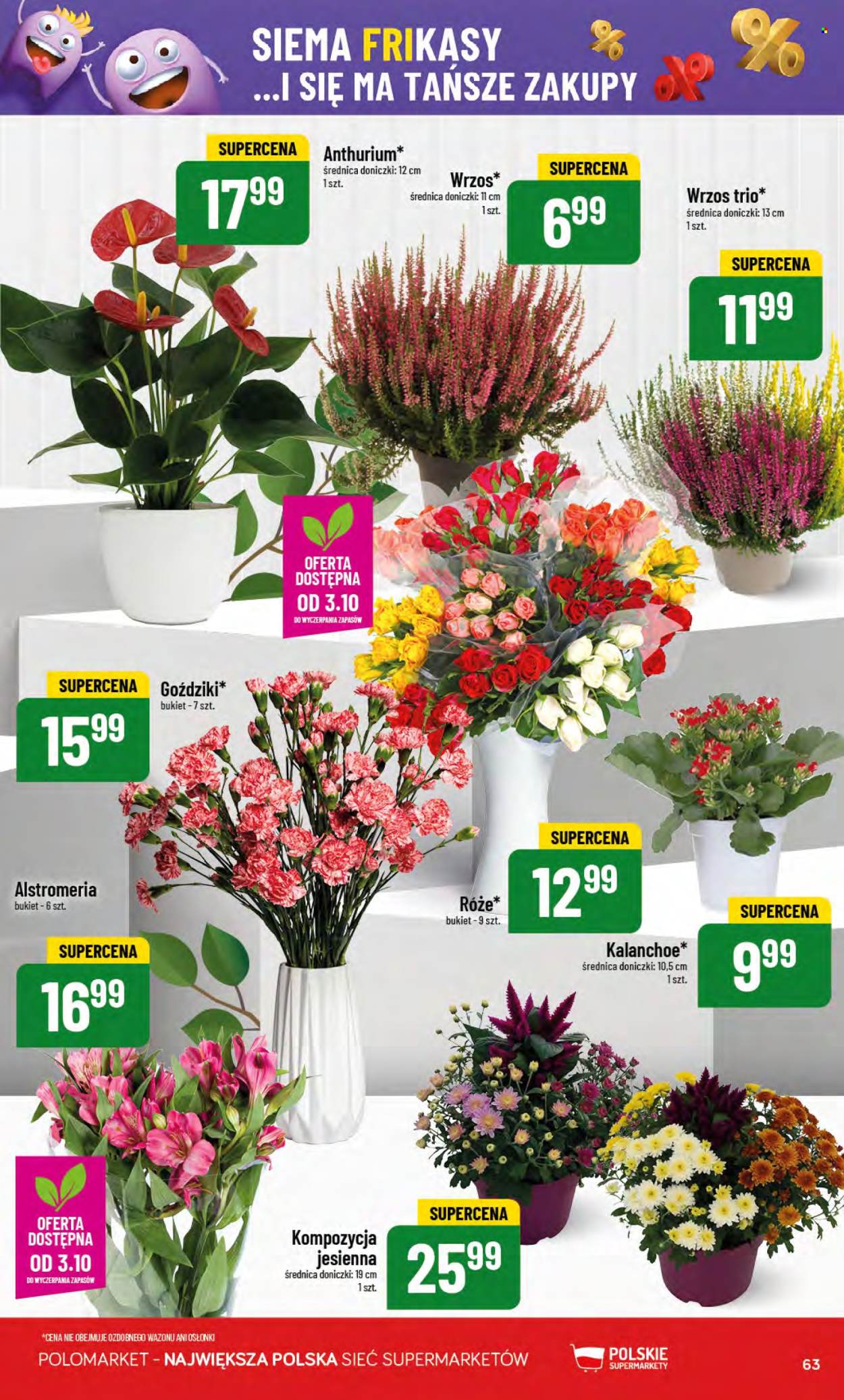 Gazetka Polomarket - 1.10.2025 - 7.10.2025. Strona 63