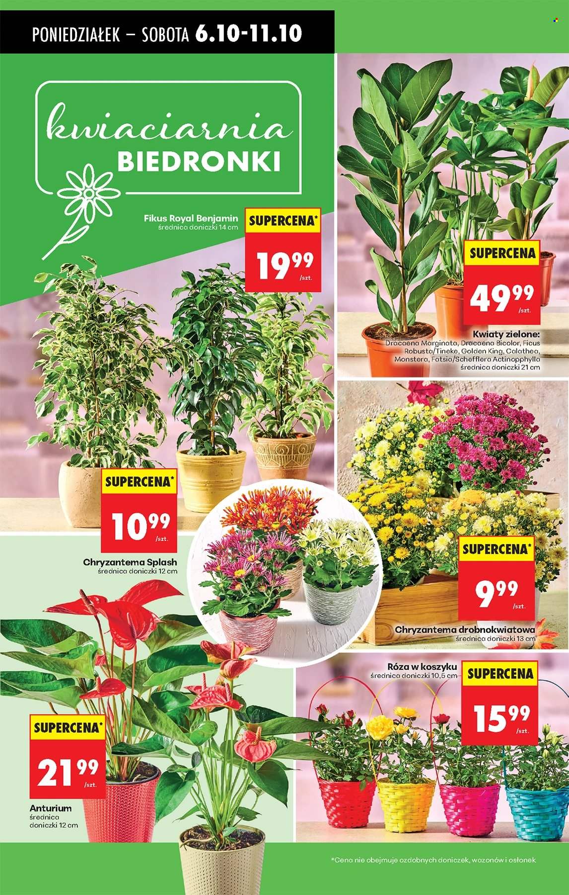 Gazetka Biedronka - 6.10.2025 - 11.10.2025. Strona 79