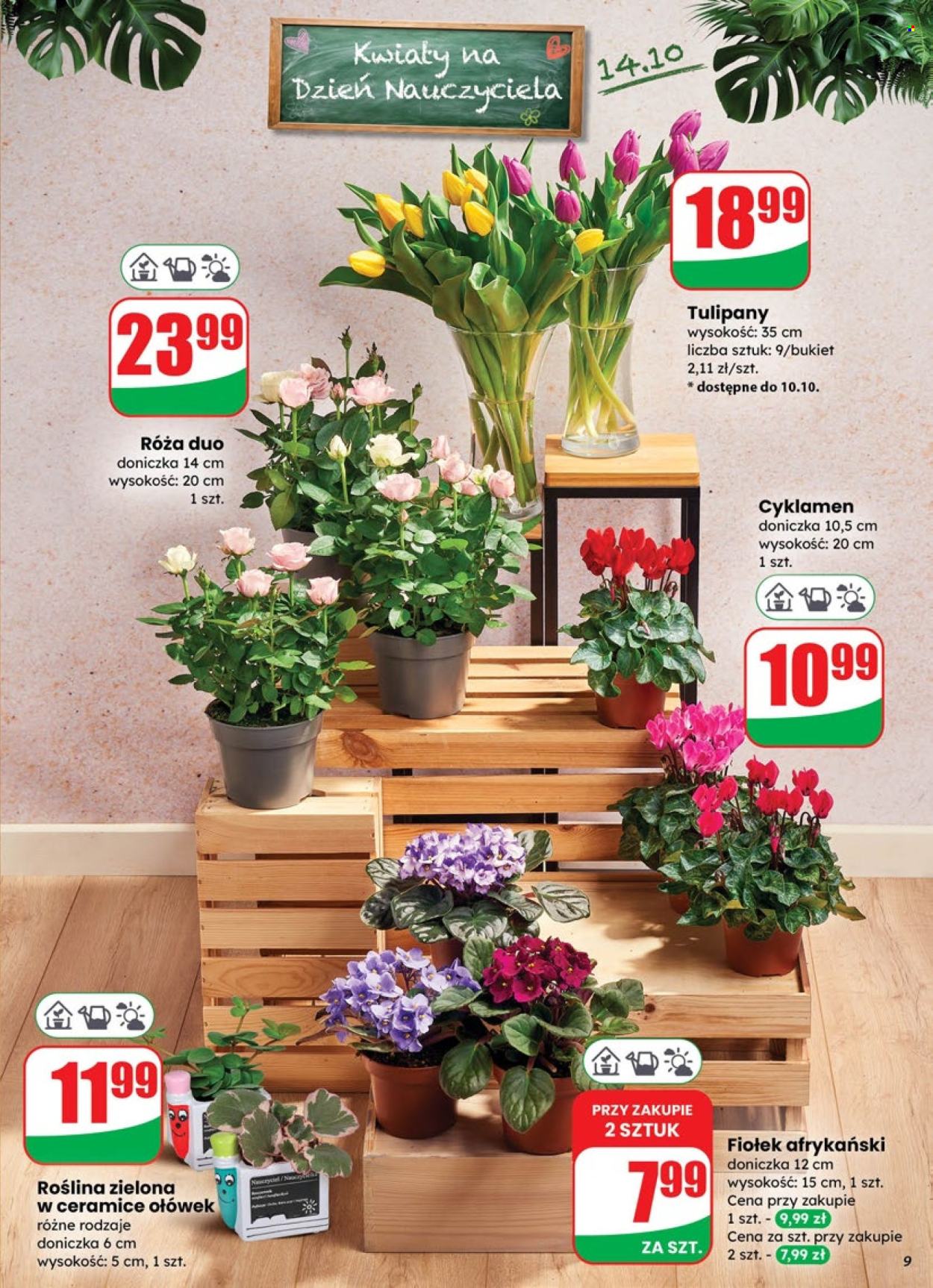 Gazetka Dino - 8.10.2025 - 14.10.2025. Strona 9