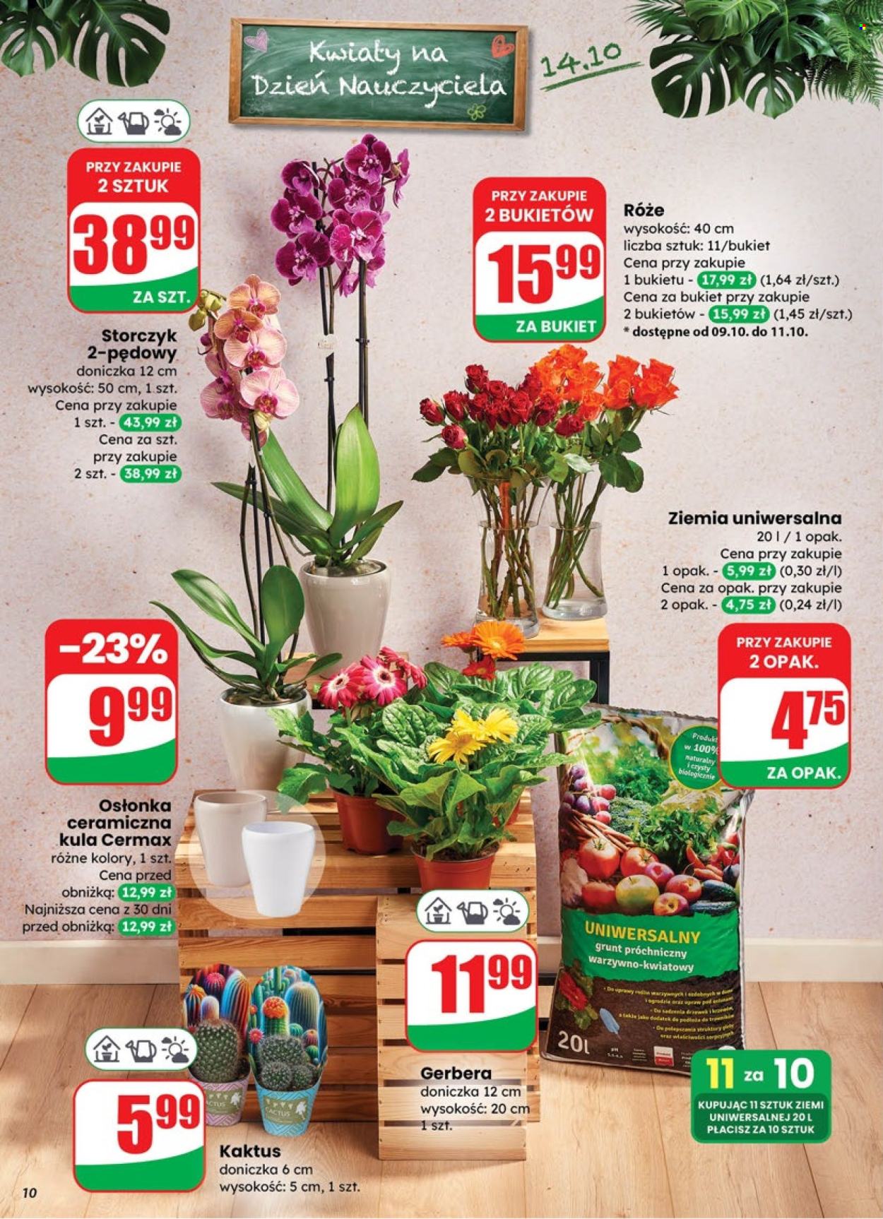 Gazetka Dino - 8.10.2025 - 14.10.2025. Strona 10