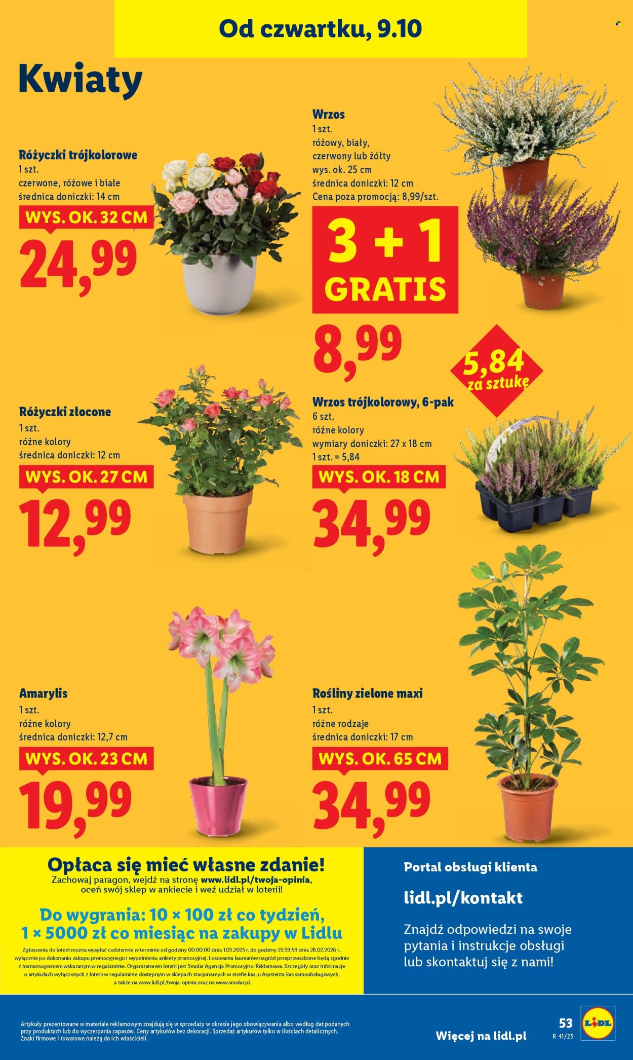 Gazetka Lidl - 9.10.2025 - 11.10.2025. Strona 59