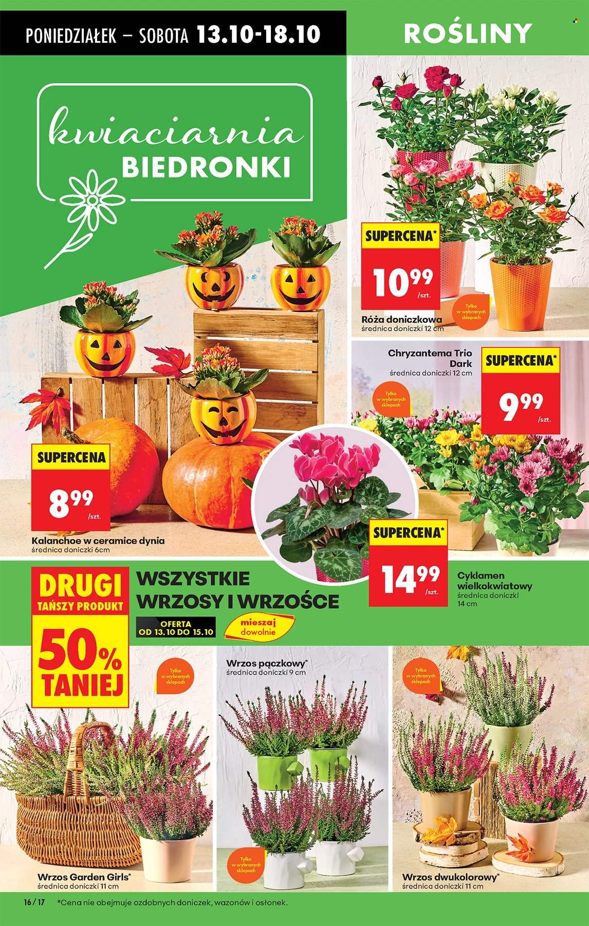 Gazetka Biedronka - 13.10.2025 - 18.10.2025. Strona 16