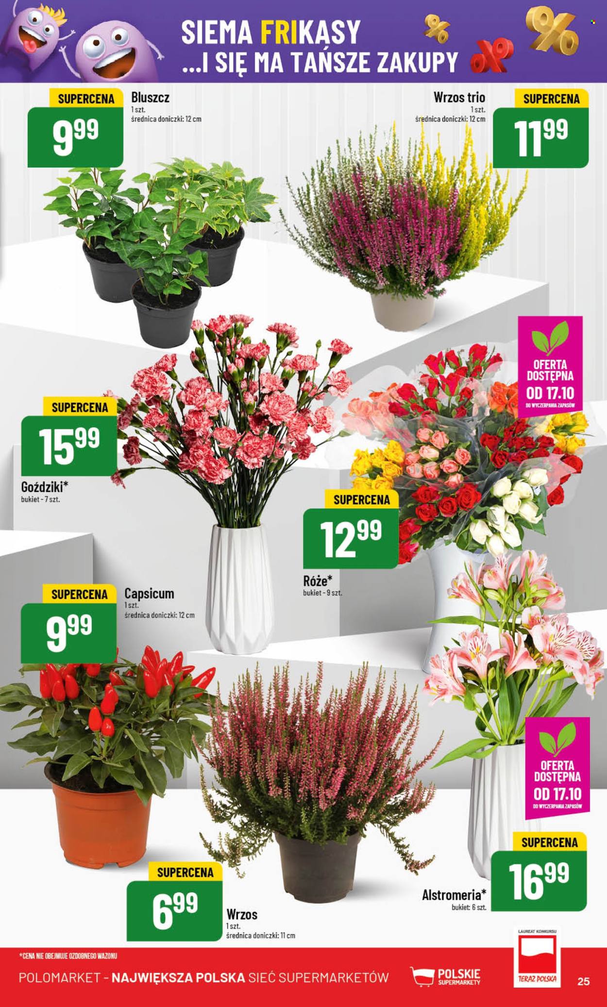 Gazetka Polomarket - 15.10.2025 - 21.10.2025. Strona 25