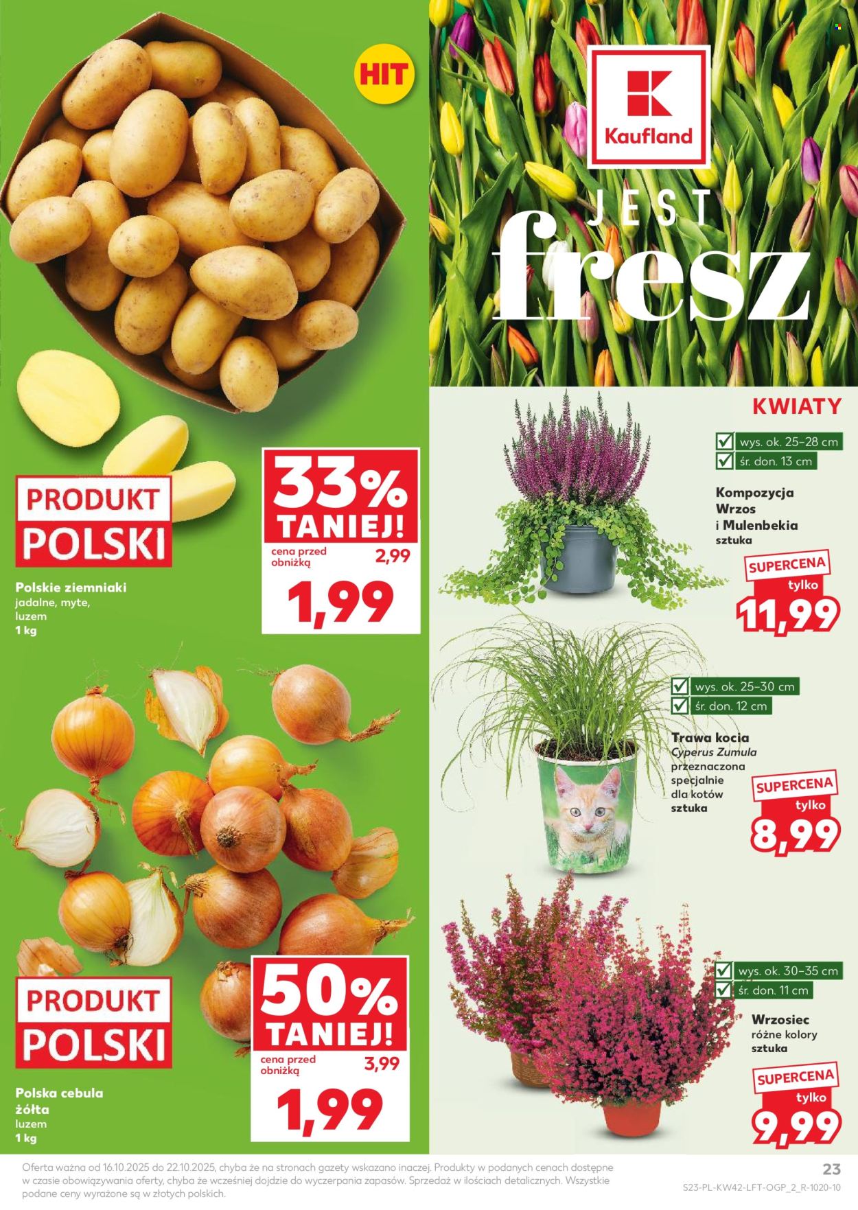 Gazetka Kaufland - 16.10.2025 - 22.10.2025. Strona 23