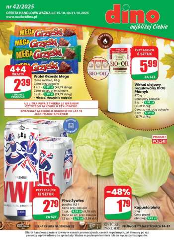 Gazetka Dino - 15.10.2025 - 21.10.2025.