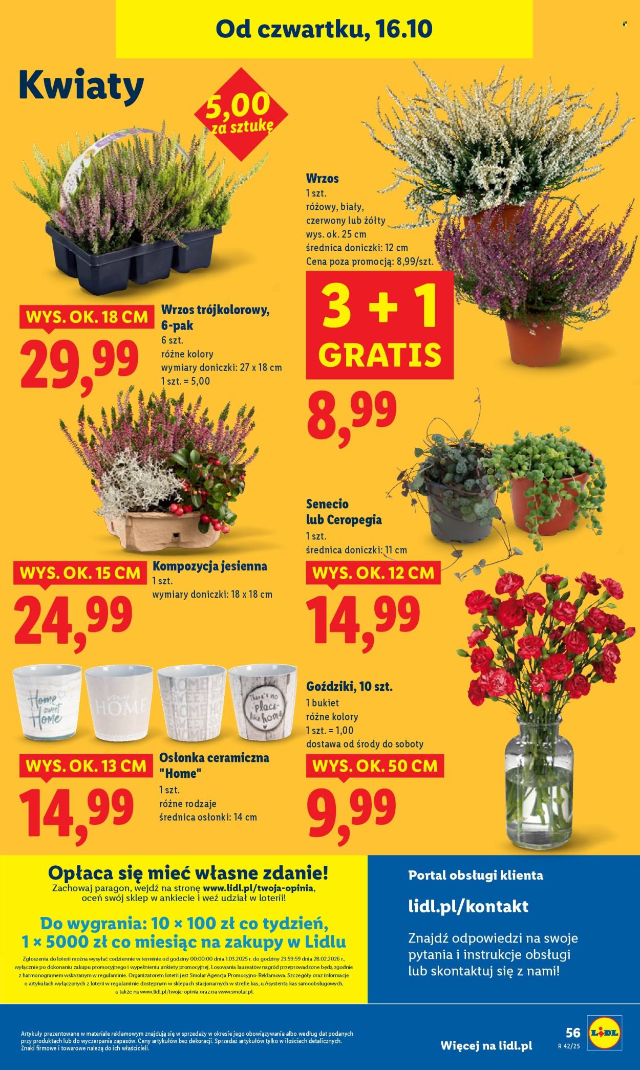 Gazetka Lidl - 16.10.2025 - 18.10.2025. Strona 60