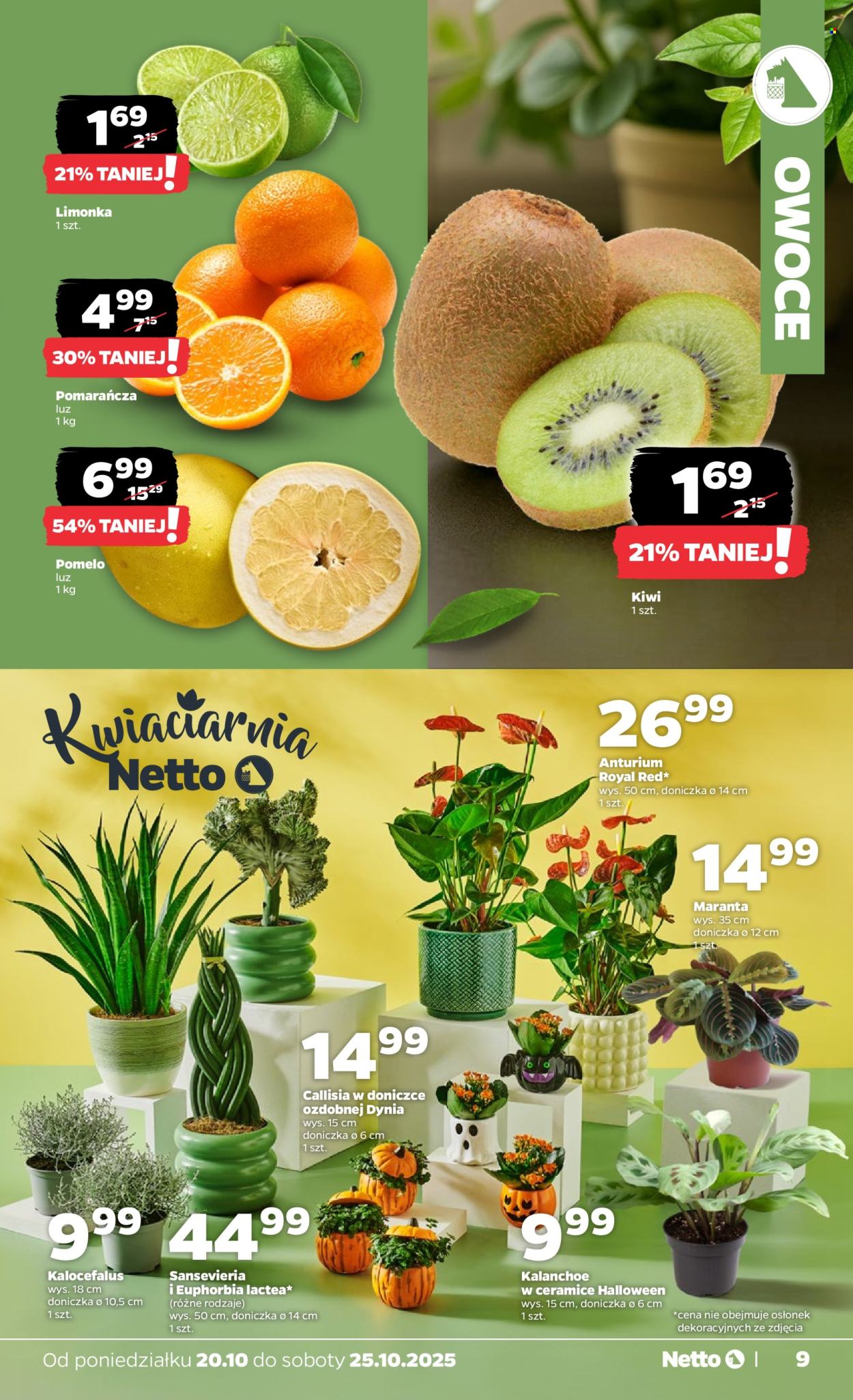 Gazetka Netto - 20.10.2025 - 25.10.2025. Strona 9
