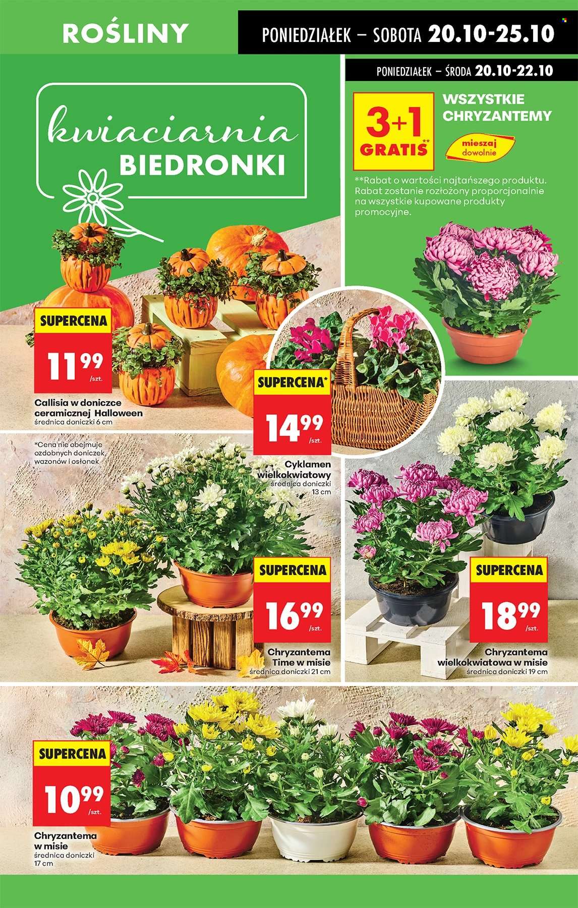 Gazetka Biedronka - 20.10.2025 - 25.10.2025. Strona 63