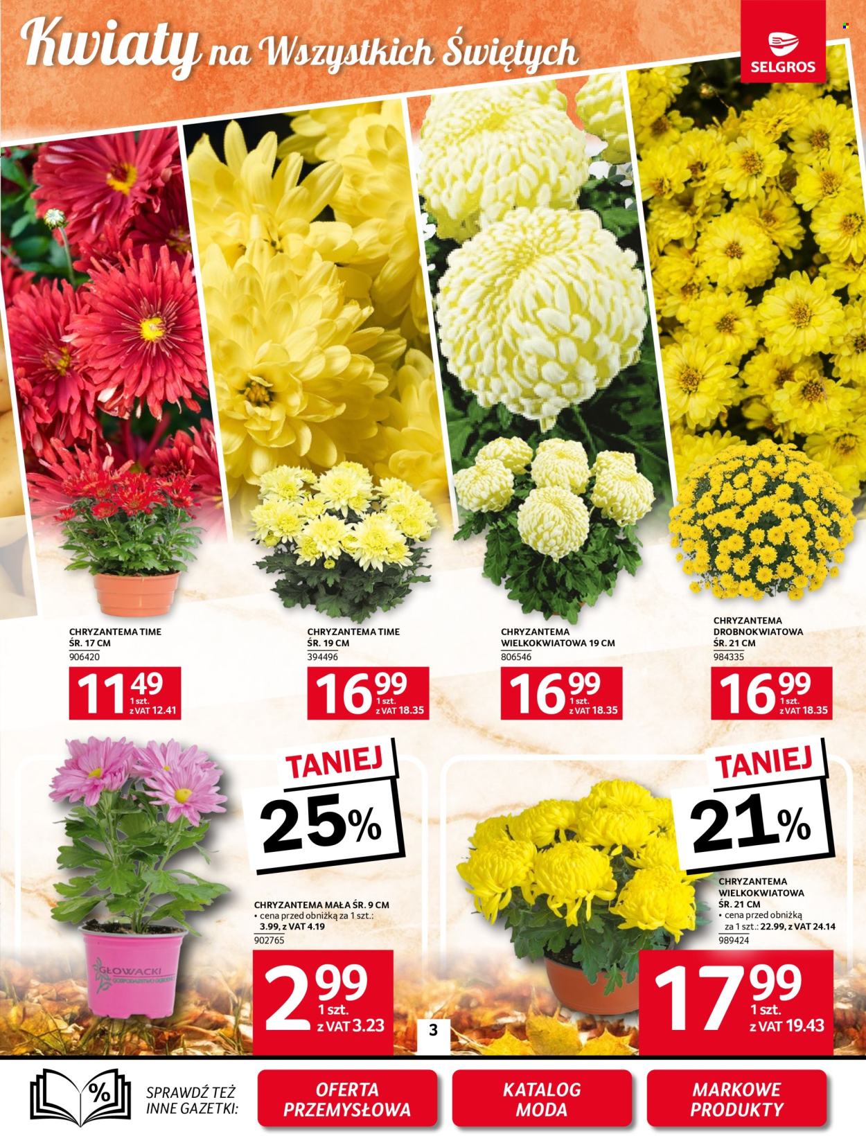 Gazetka Selgros - 23.10.2025 - 5.11.2025. Strona 3