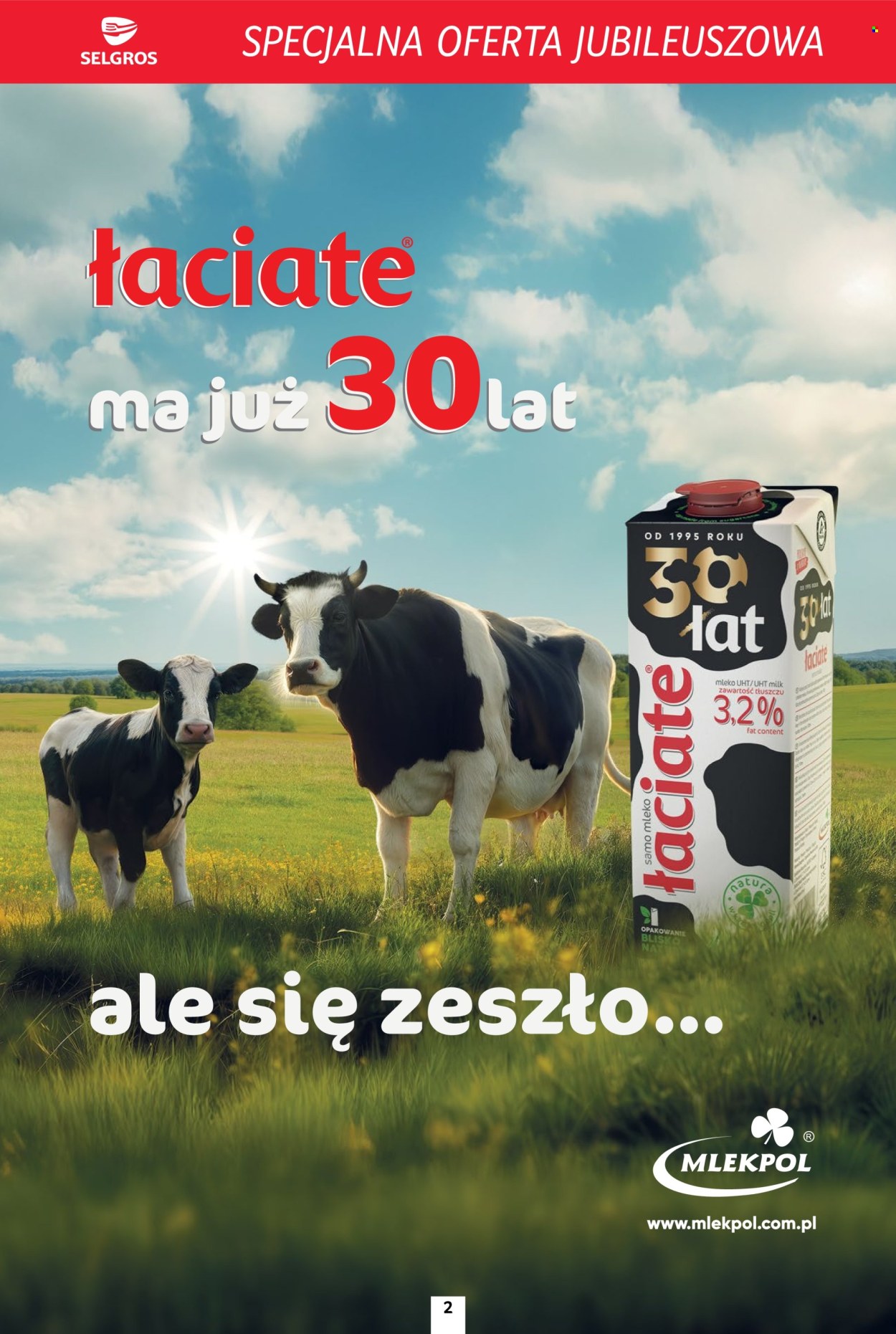 Gazetka Selgros - 23.10.2025 - 5.11.2025. Strona 2