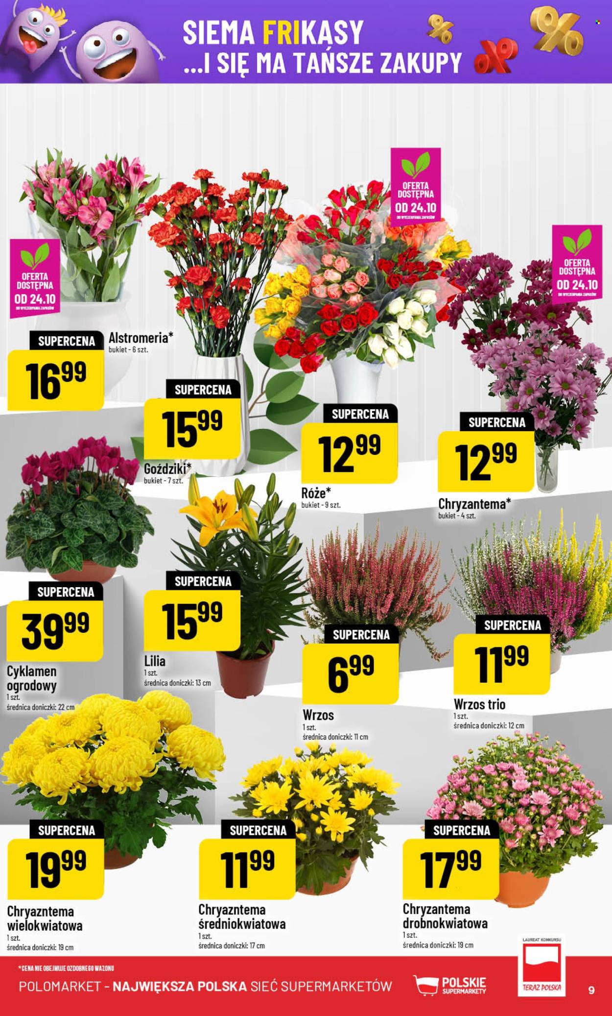 Gazetka Polomarket - 22.10.2025 - 28.10.2025. Strona 9