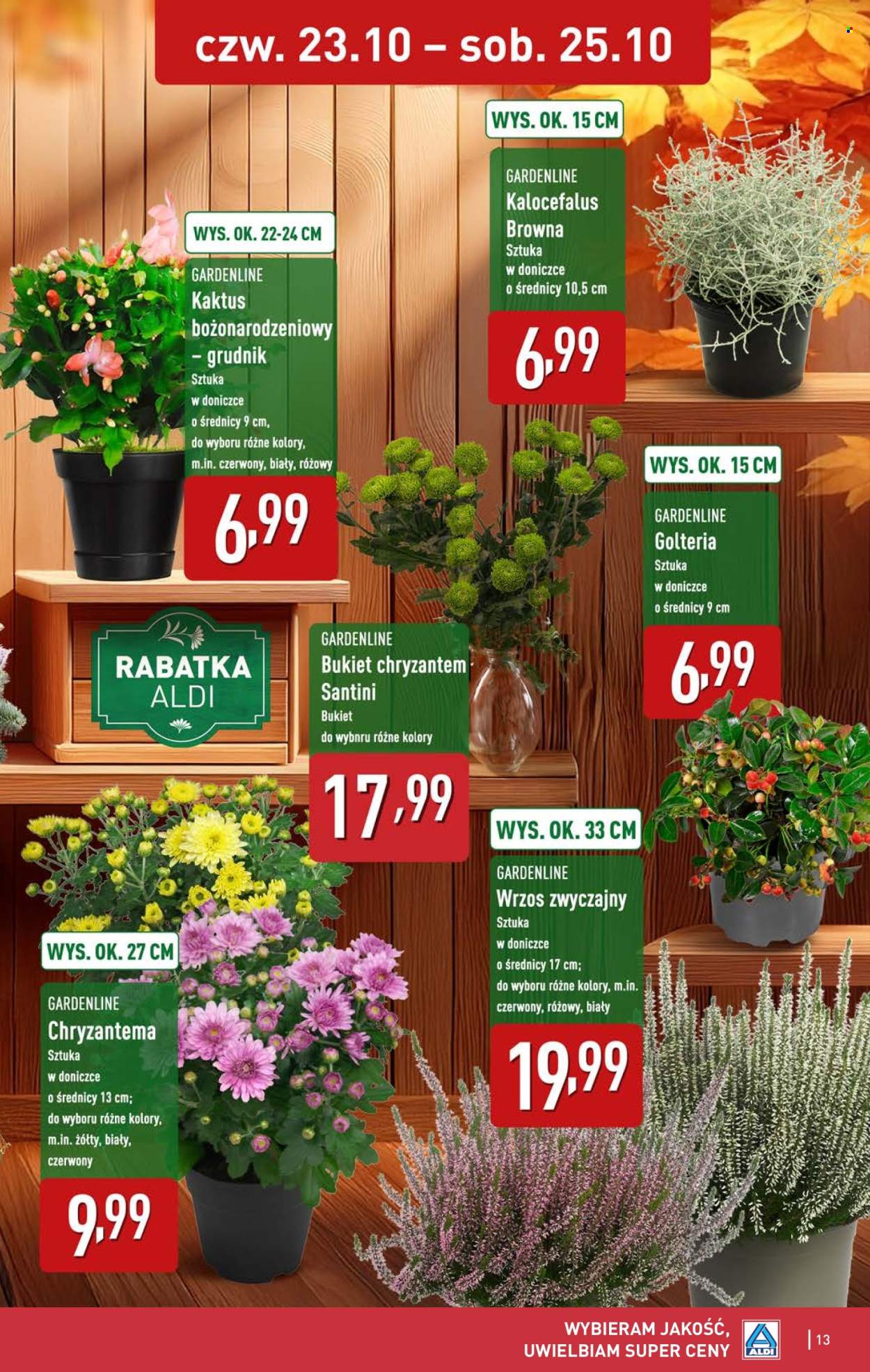 Gazetka ALDI - 23.10.2025 - 25.10.2025. Strona 13