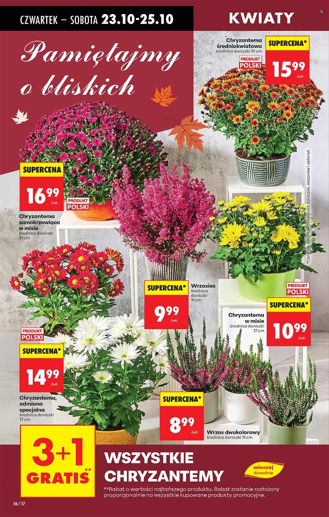 Gazetka Biedronka - 23.10.2025 - 29.10.2025. Strona 16