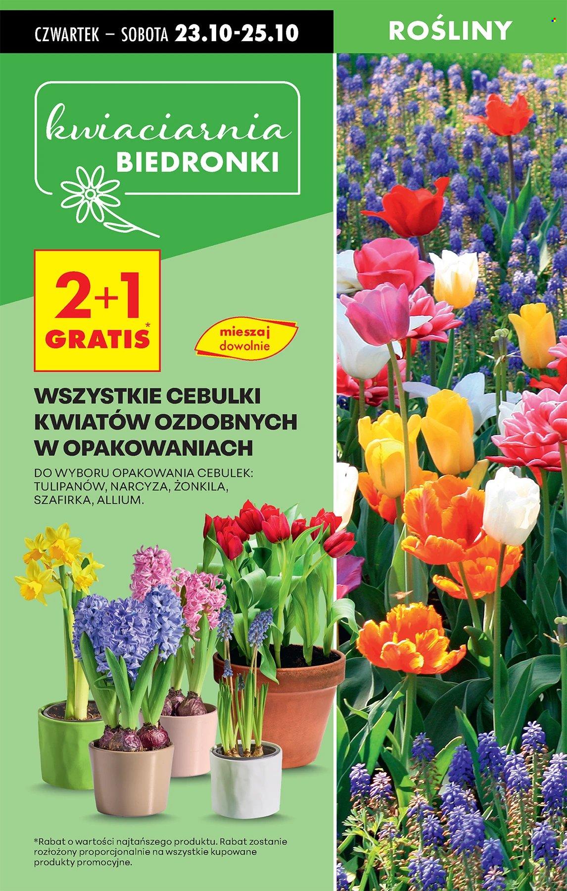 Gazetka Biedronka - 23.10.2025 - 29.10.2025. Strona 76