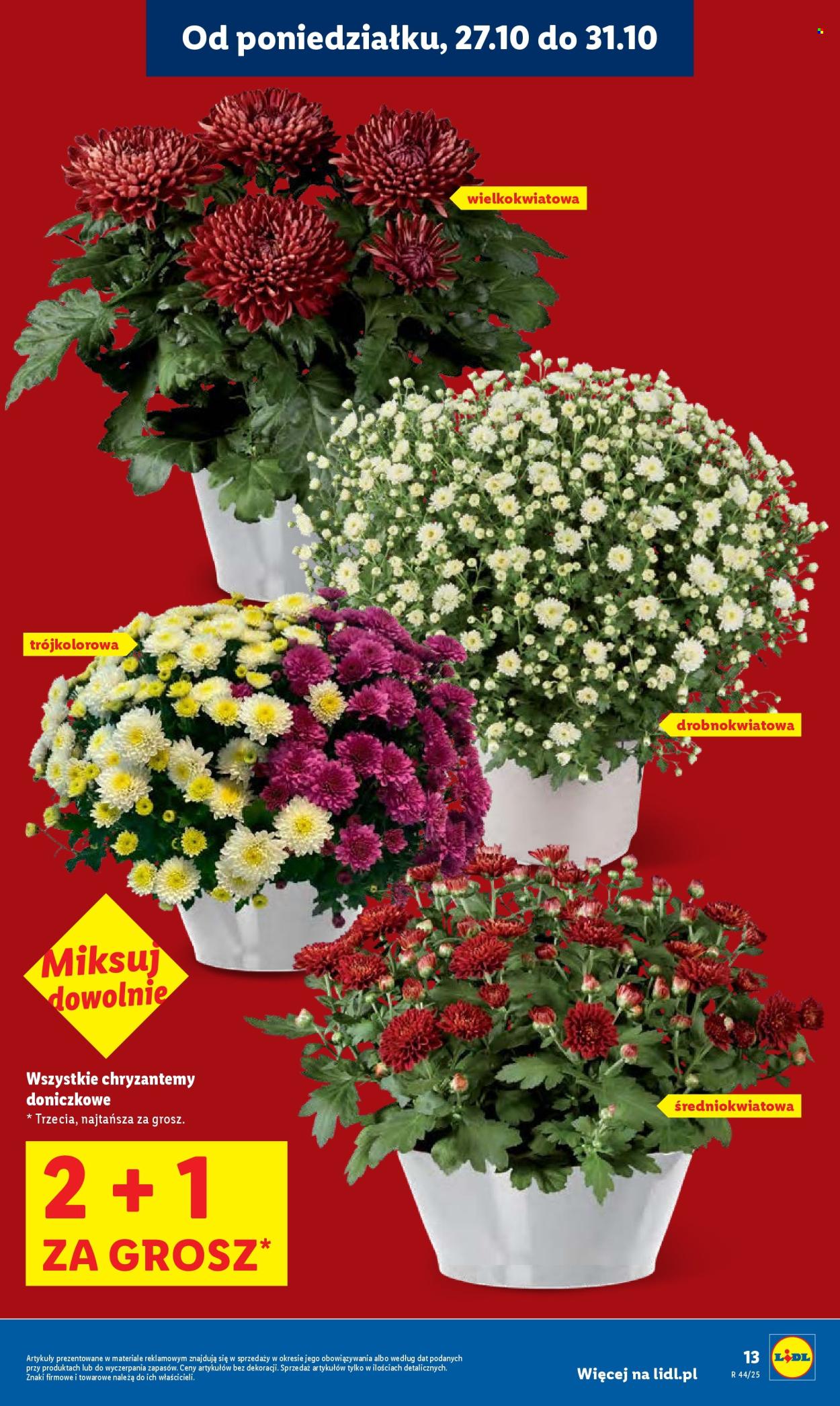 Gazetka Lidl - 27.10.2025 - 29.10.2025. Strona 13