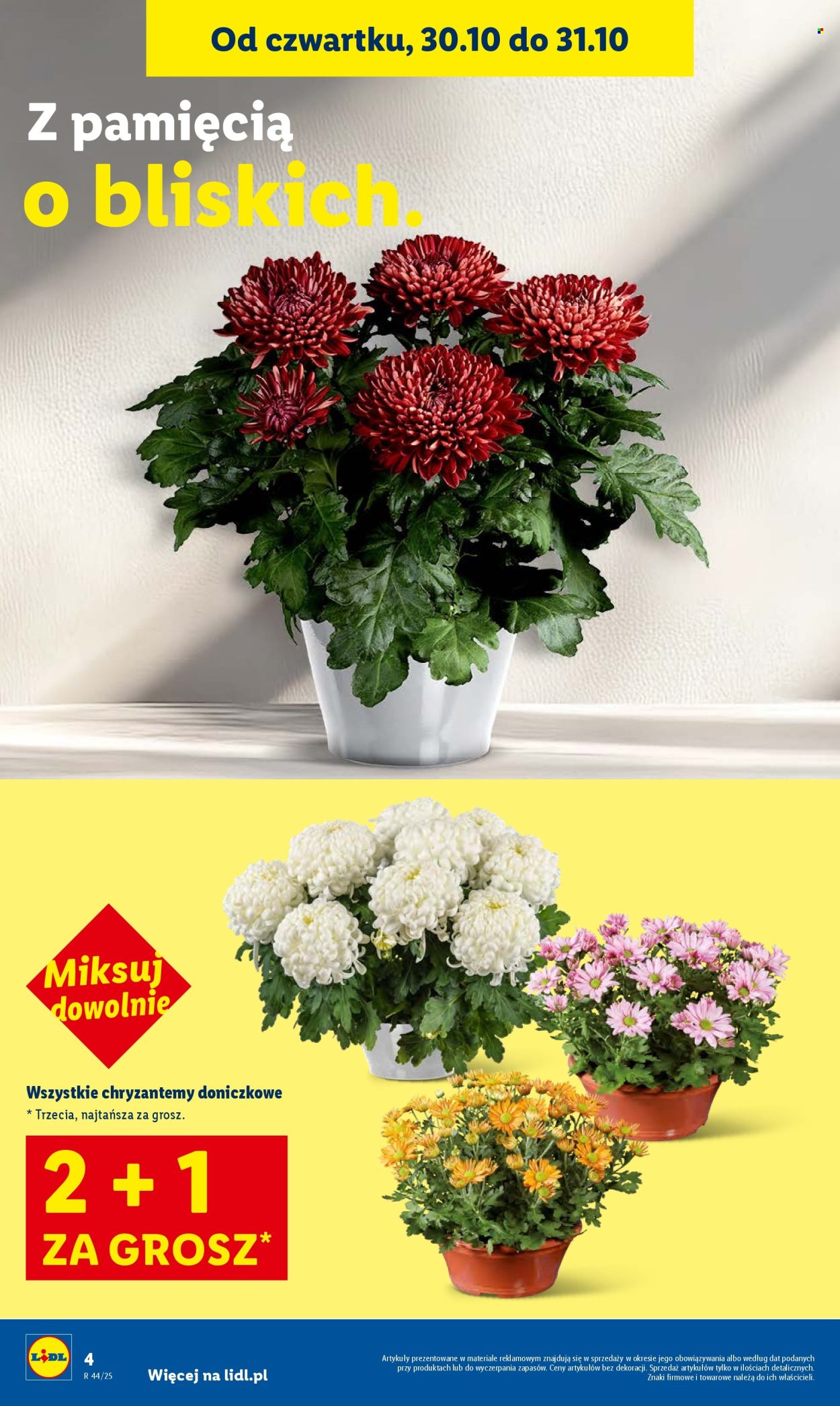 Gazetka Lidl - 30.10.2025 - 31.10.2025. Strona 4
