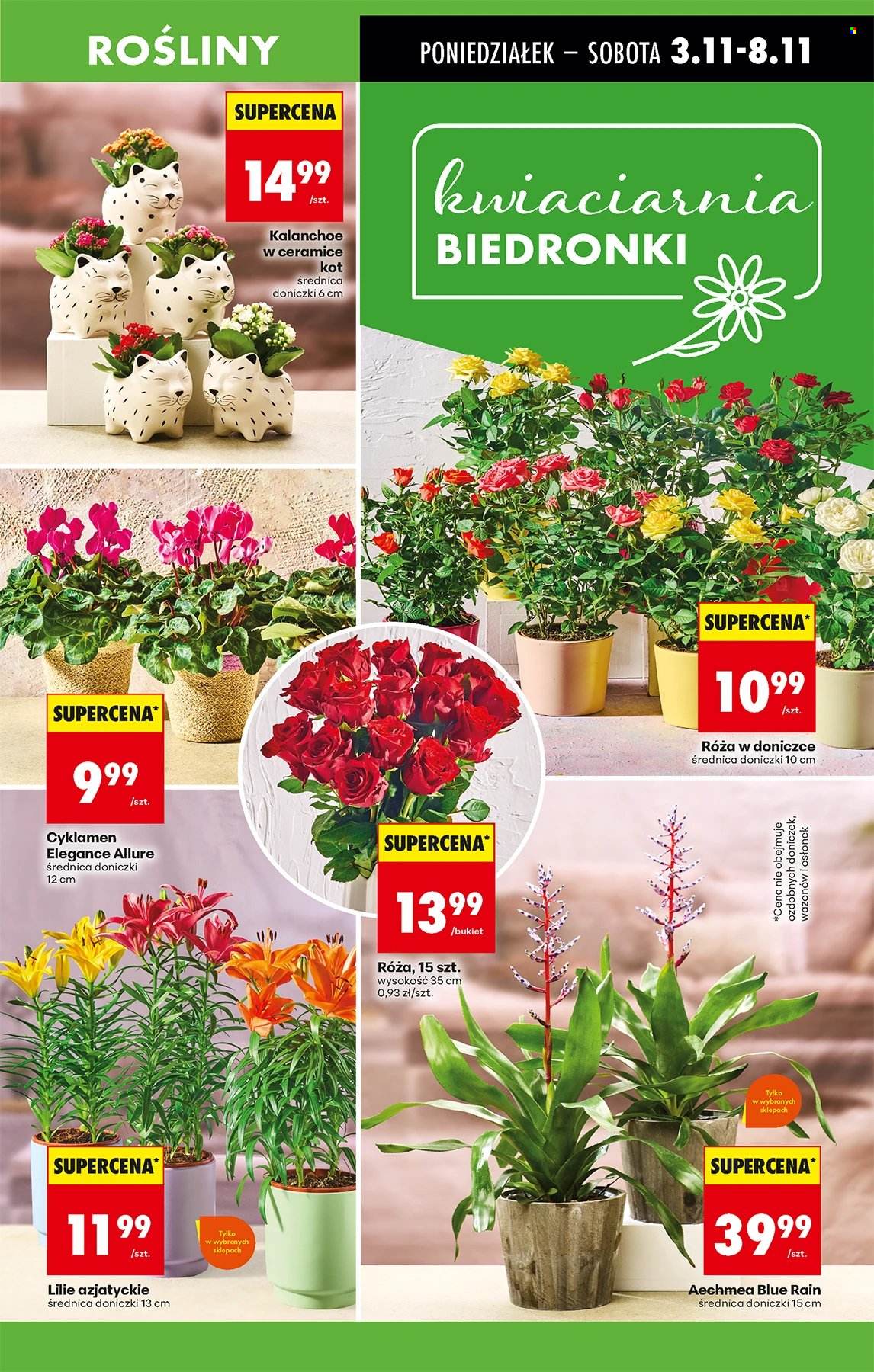 Gazetka Biedronka - 3.11.2025 - 8.11.2025. Strona 15