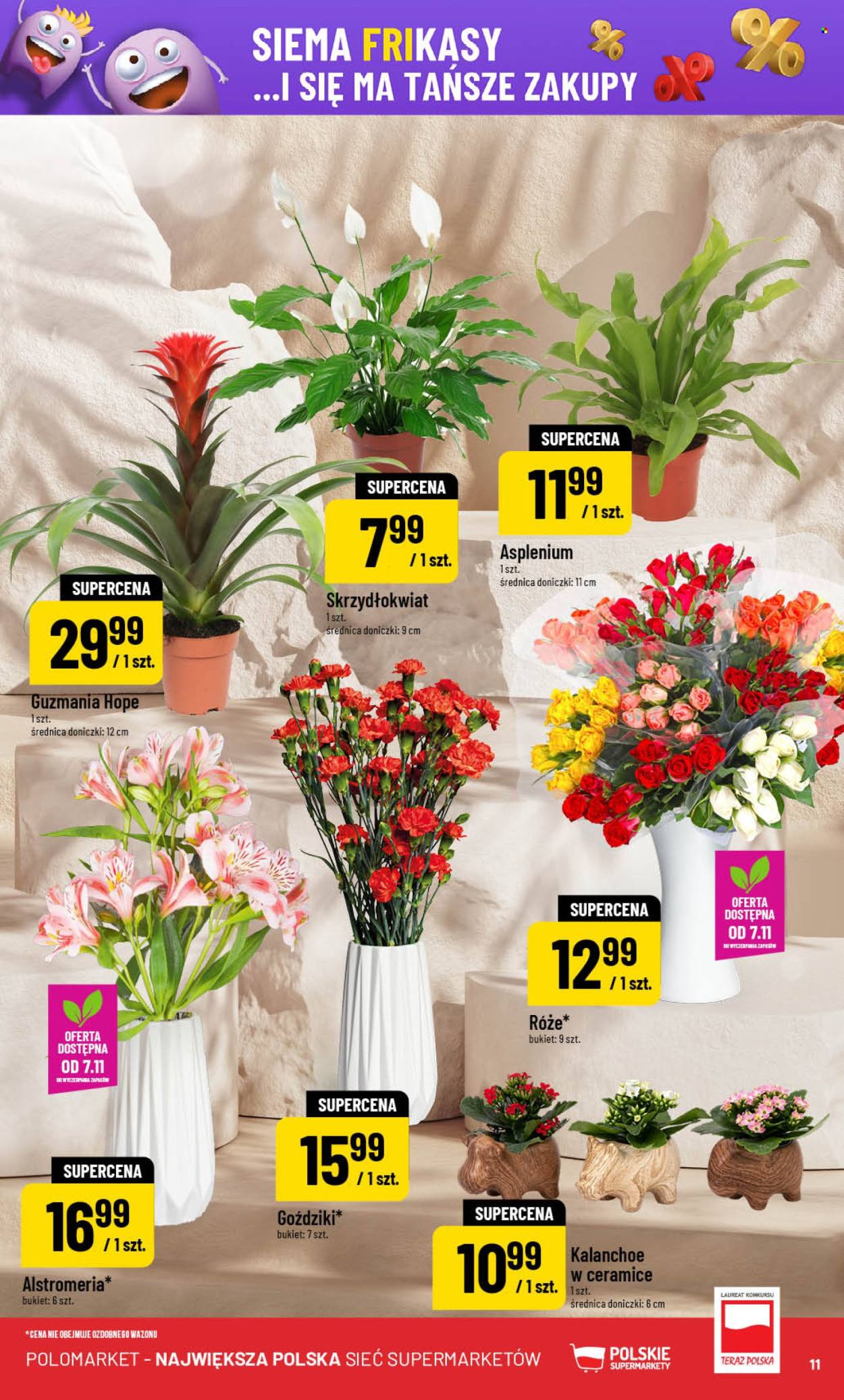Gazetka Polomarket - 5.11.2025 - 10.11.2025. Strona 11