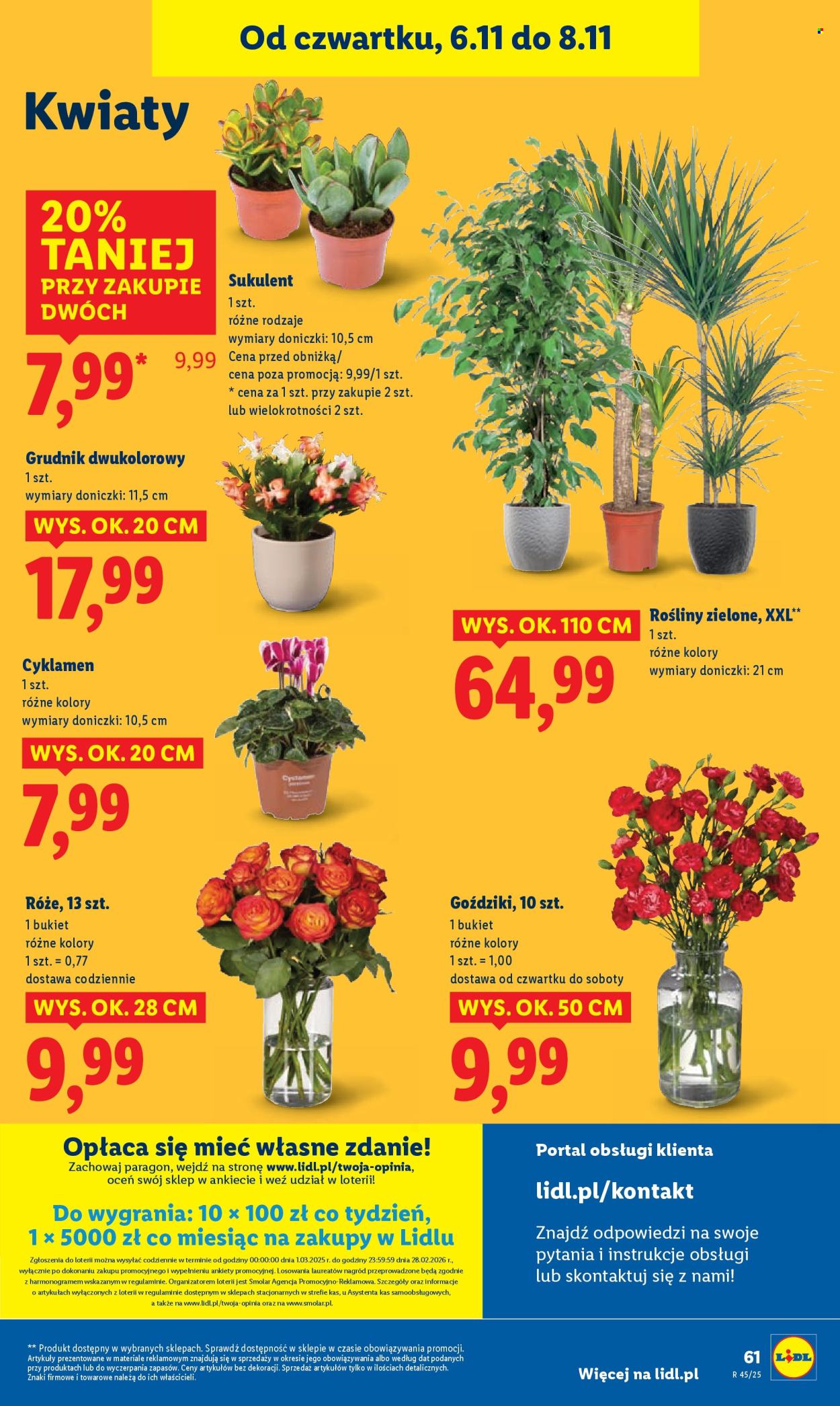 Gazetka Lidl - 6.11.2025 - 8.11.2025. Strona 70