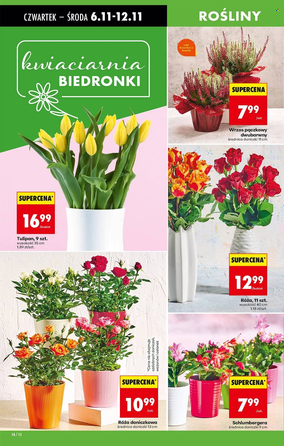Gazetka Biedronka - 6.11.2025 - 12.11.2025. Strona 14