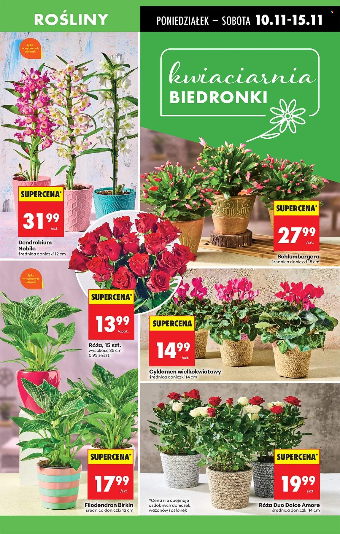 Gazetka Biedronka - 10.11.2025 - 15.11.2025. Strona 19