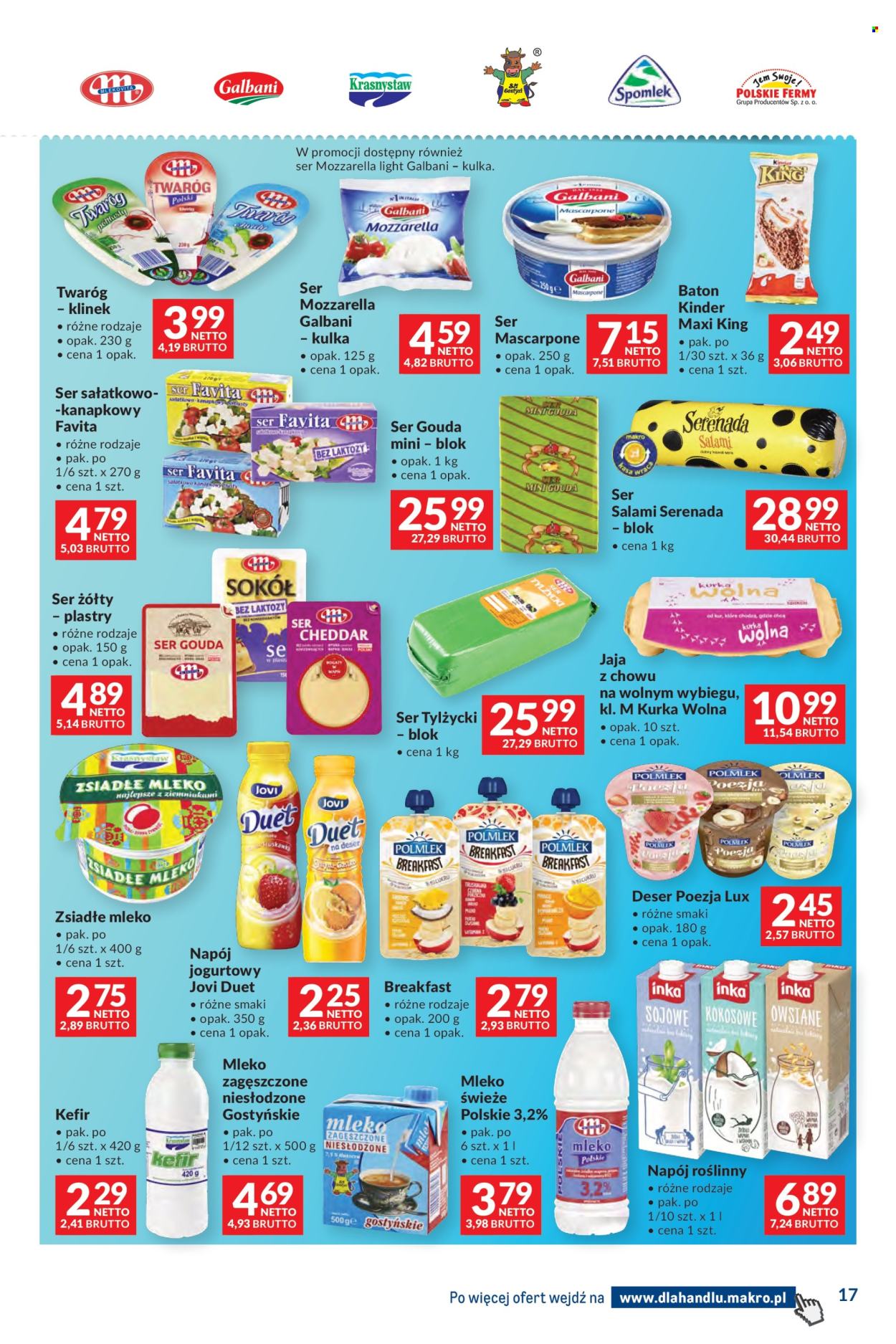 Gazetka Makro - 11.11.2025 - 24.11.2025. Strona 17