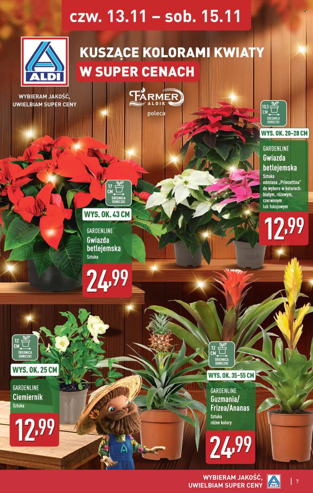 Gazetka ALDI - 13.11.2025 - 15.11.2025. Strona 7