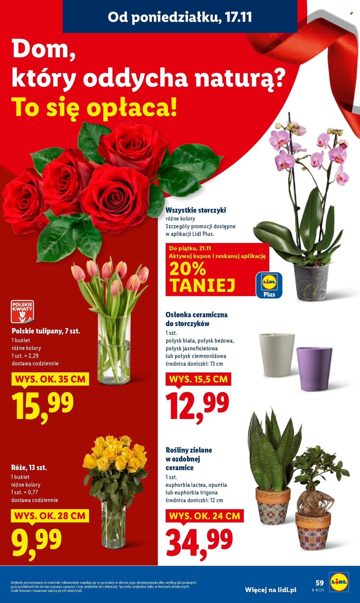 Gazetka Lidl - 17.11.2025 - 19.11.2025. Strona 59