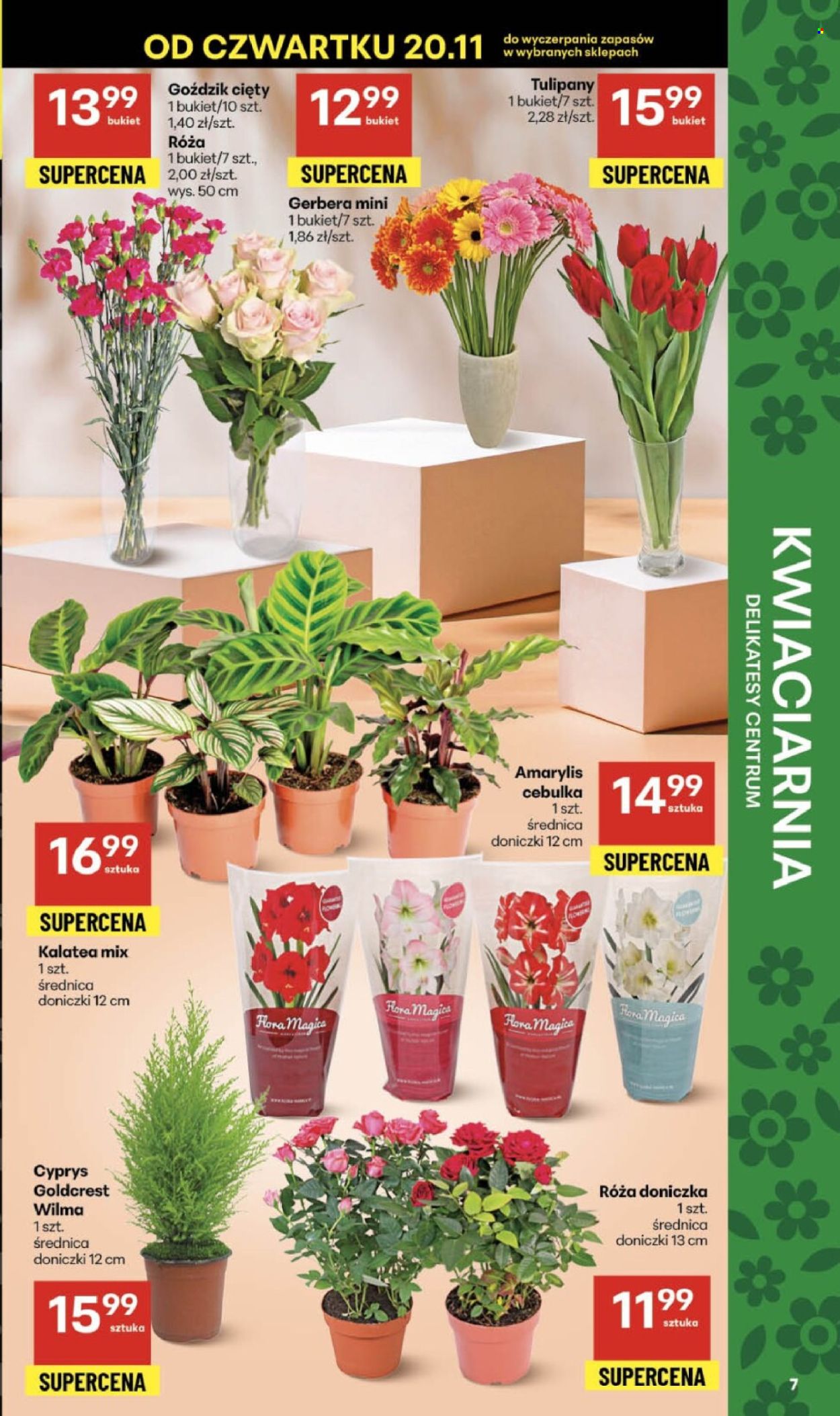 Gazetka Delikatesy Centrum - 20.11.2025 - 26.11.2025. Strona 7