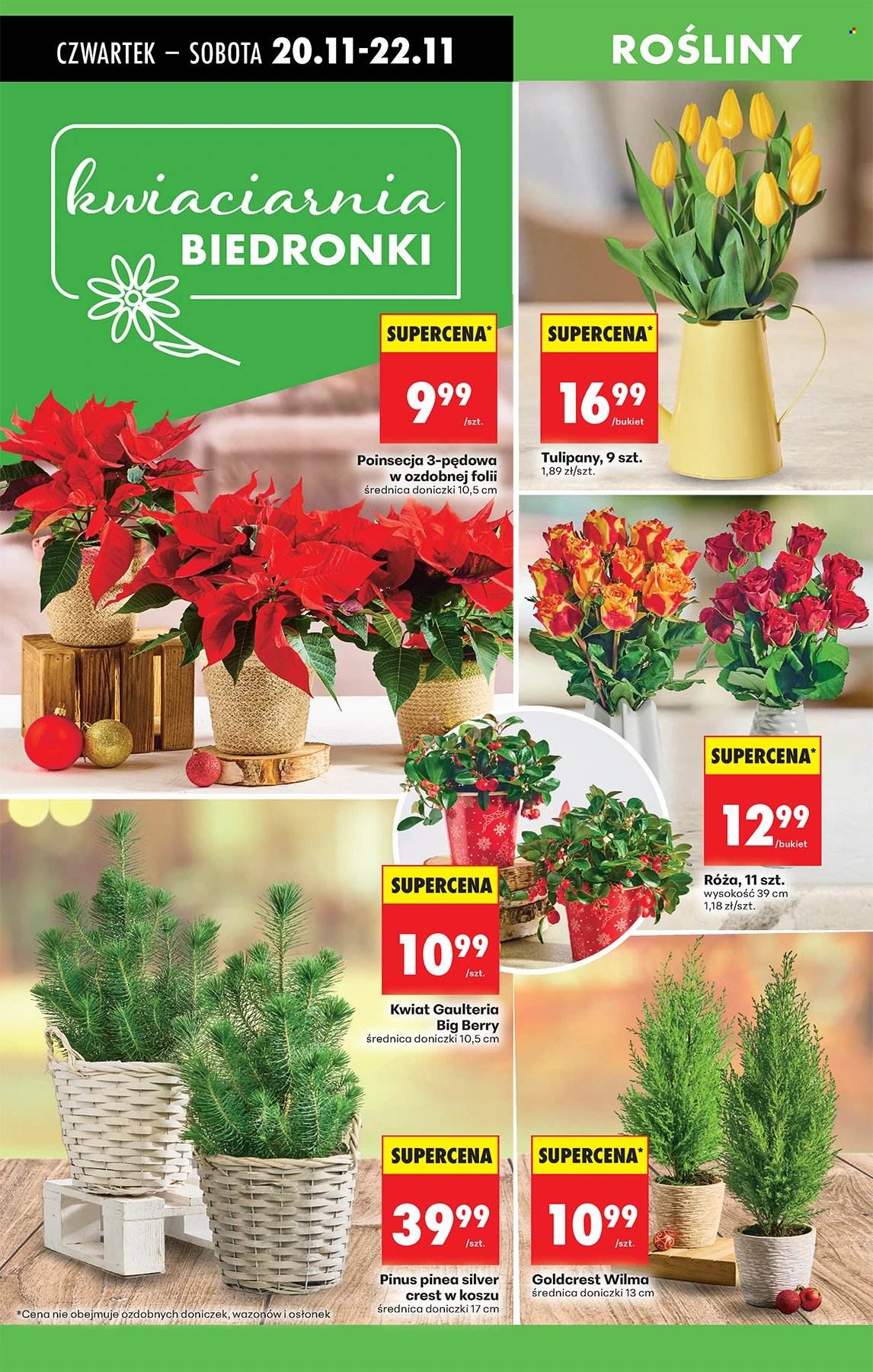 Gazetka Biedronka - 20.11.2025 - 26.11.2025. Strona 78