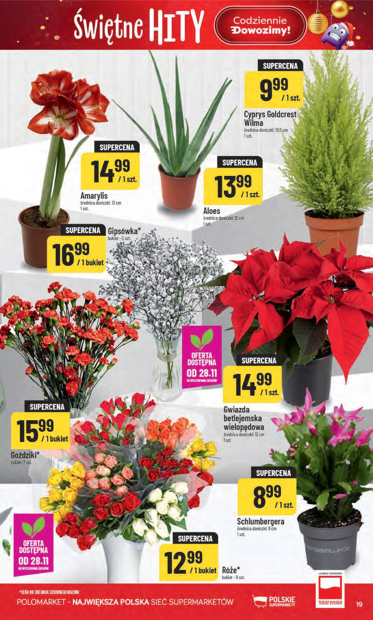 Gazetka Polomarket - 26.11.2025 - 2.12.2025. Strona 19