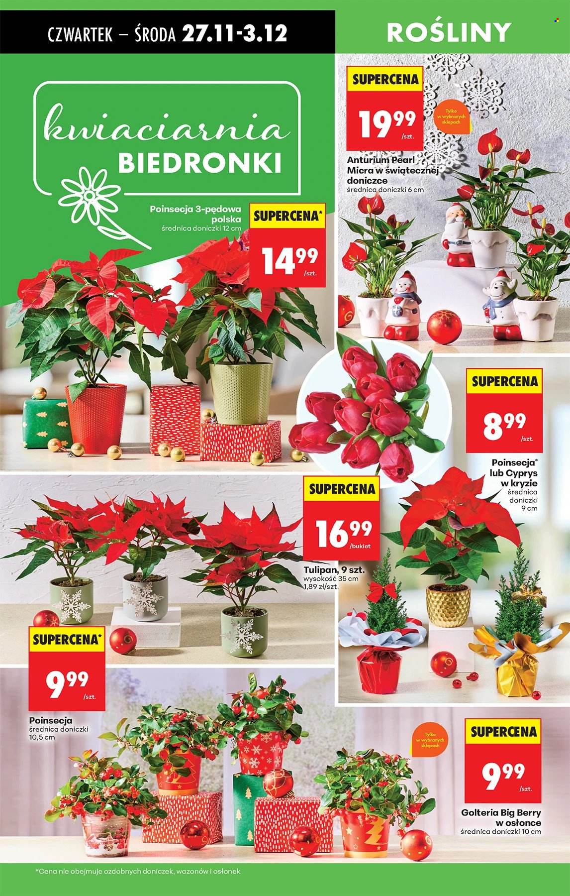 Gazetka Biedronka - 27.11.2025 - 3.12.2025. Strona 67