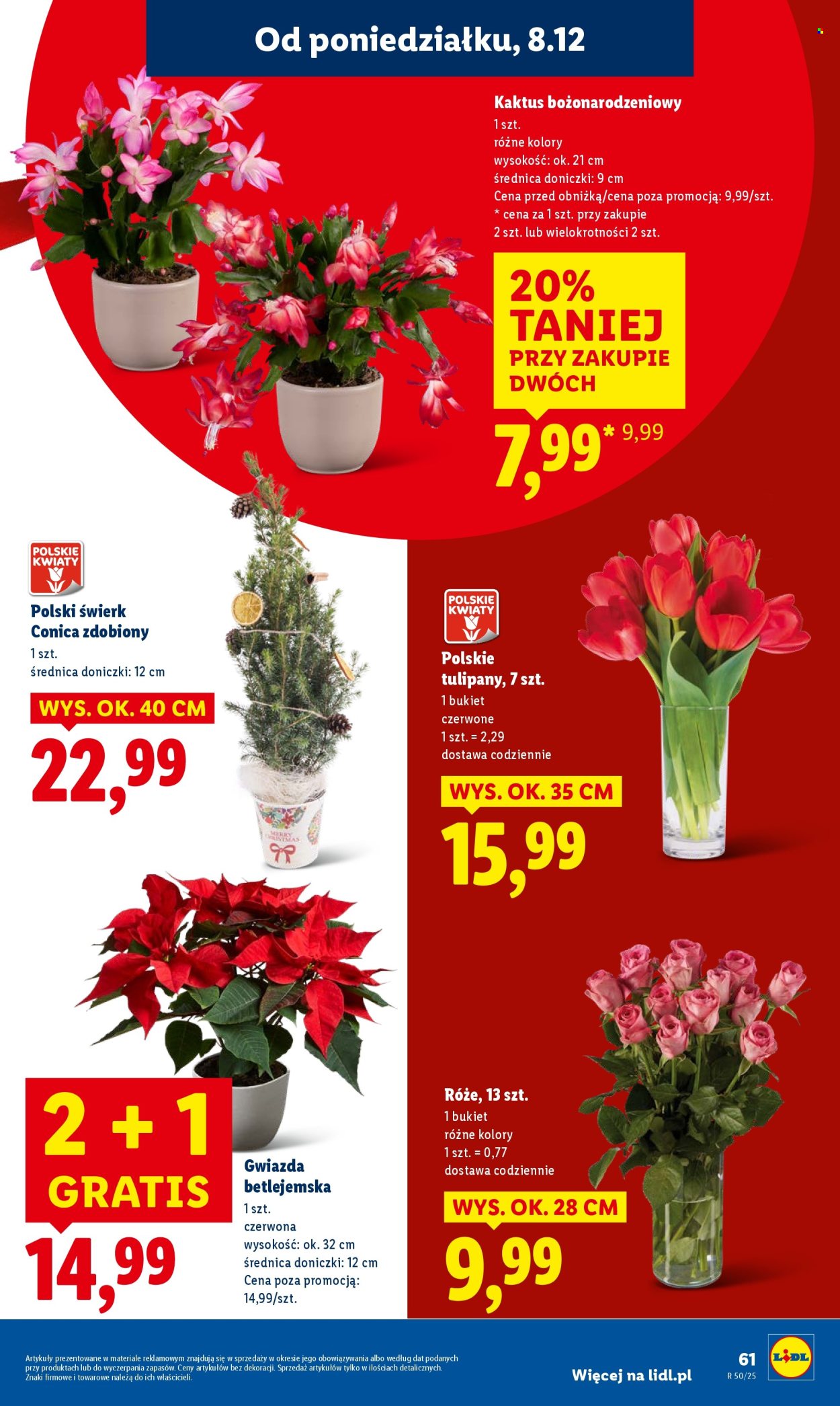 Gazetka Lidl - 8.12.2025 - 10.12.2025. Strona 69