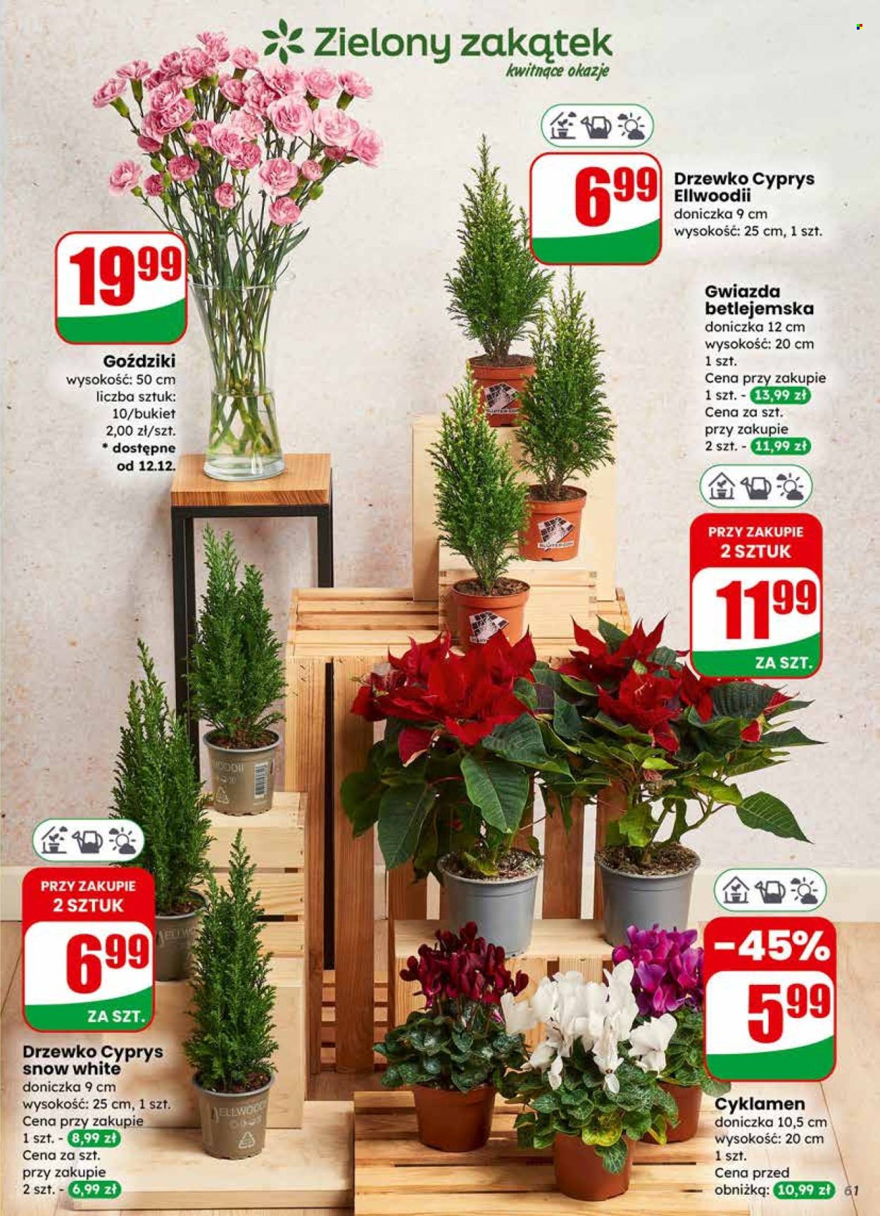 Gazetka Dino - 10.12.2025 - 16.12.2025. Strona 61